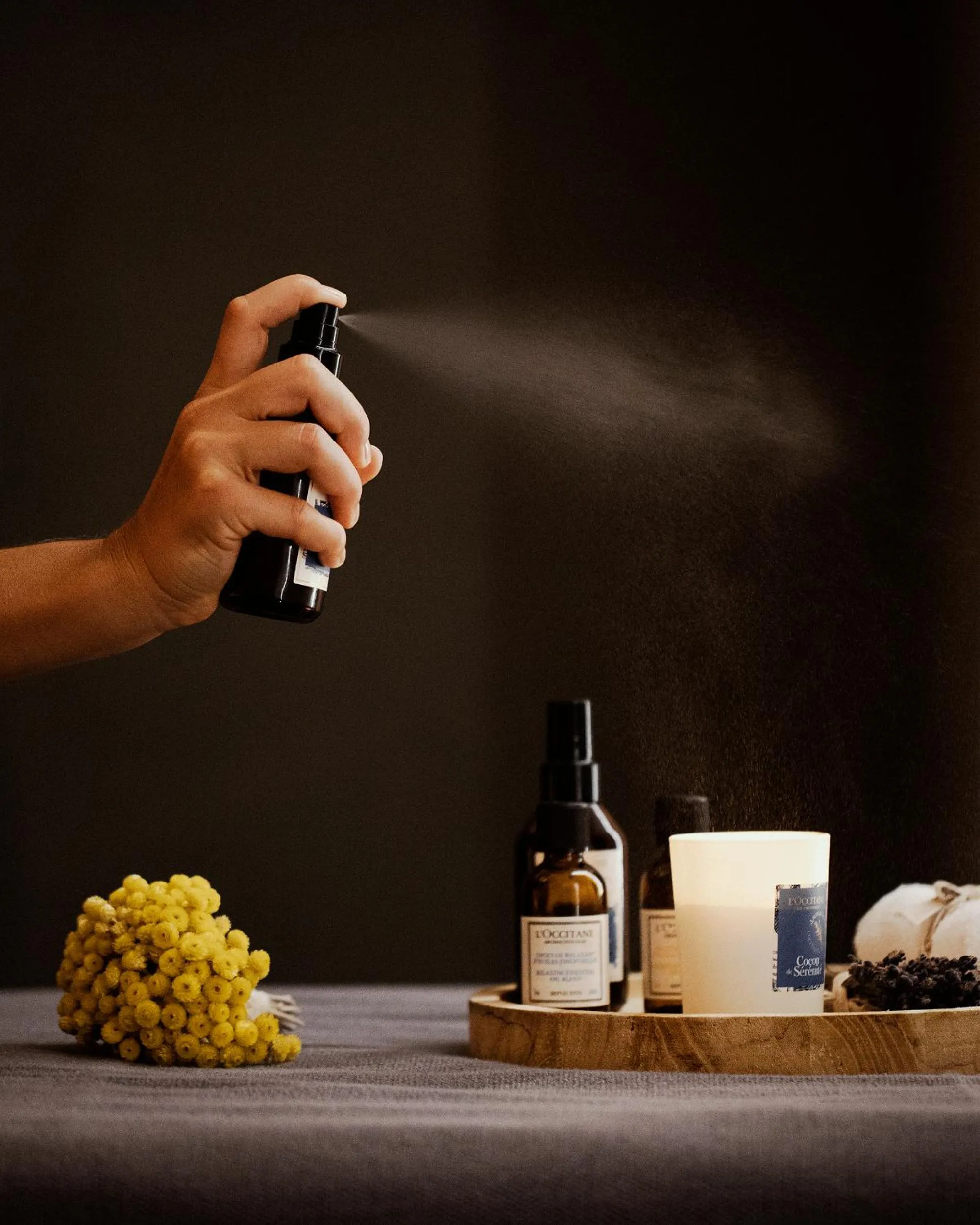 Spa and wellness centre/facilities in Hotel Copernicus