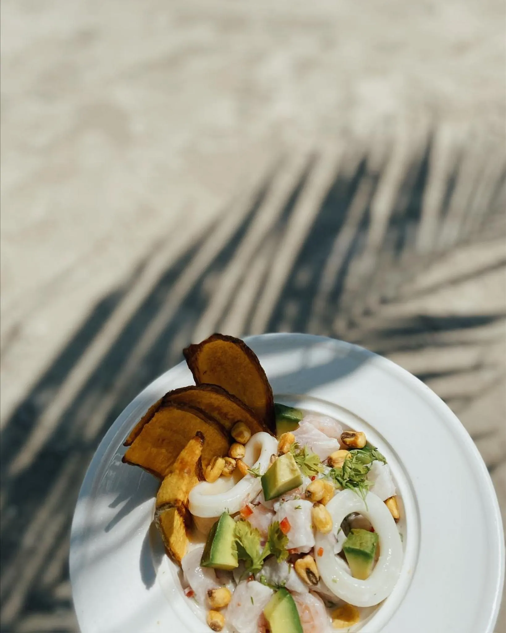 Food and drinks in Fenix Beach Cartagena