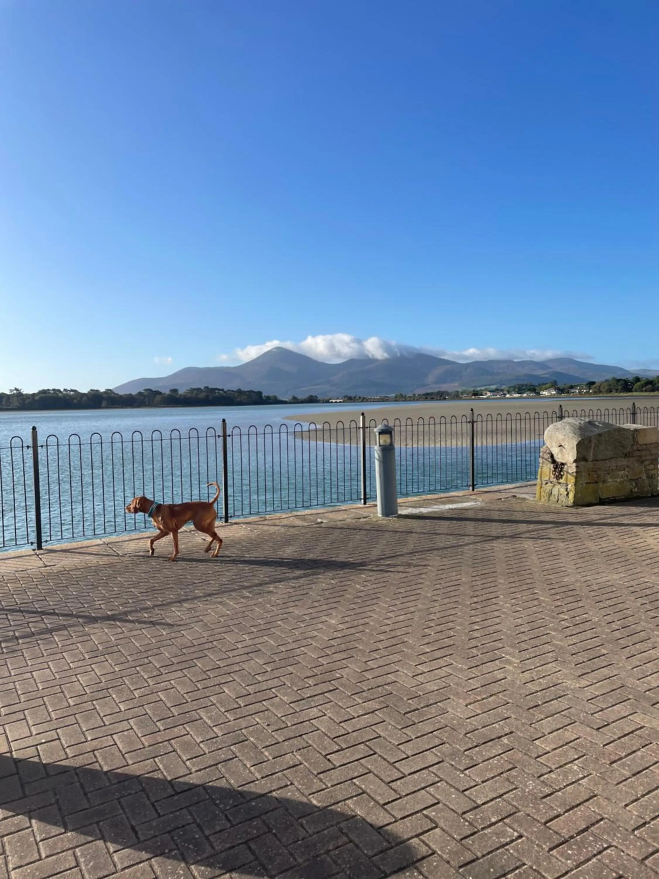 Beach in The Dundrum Inn B&B