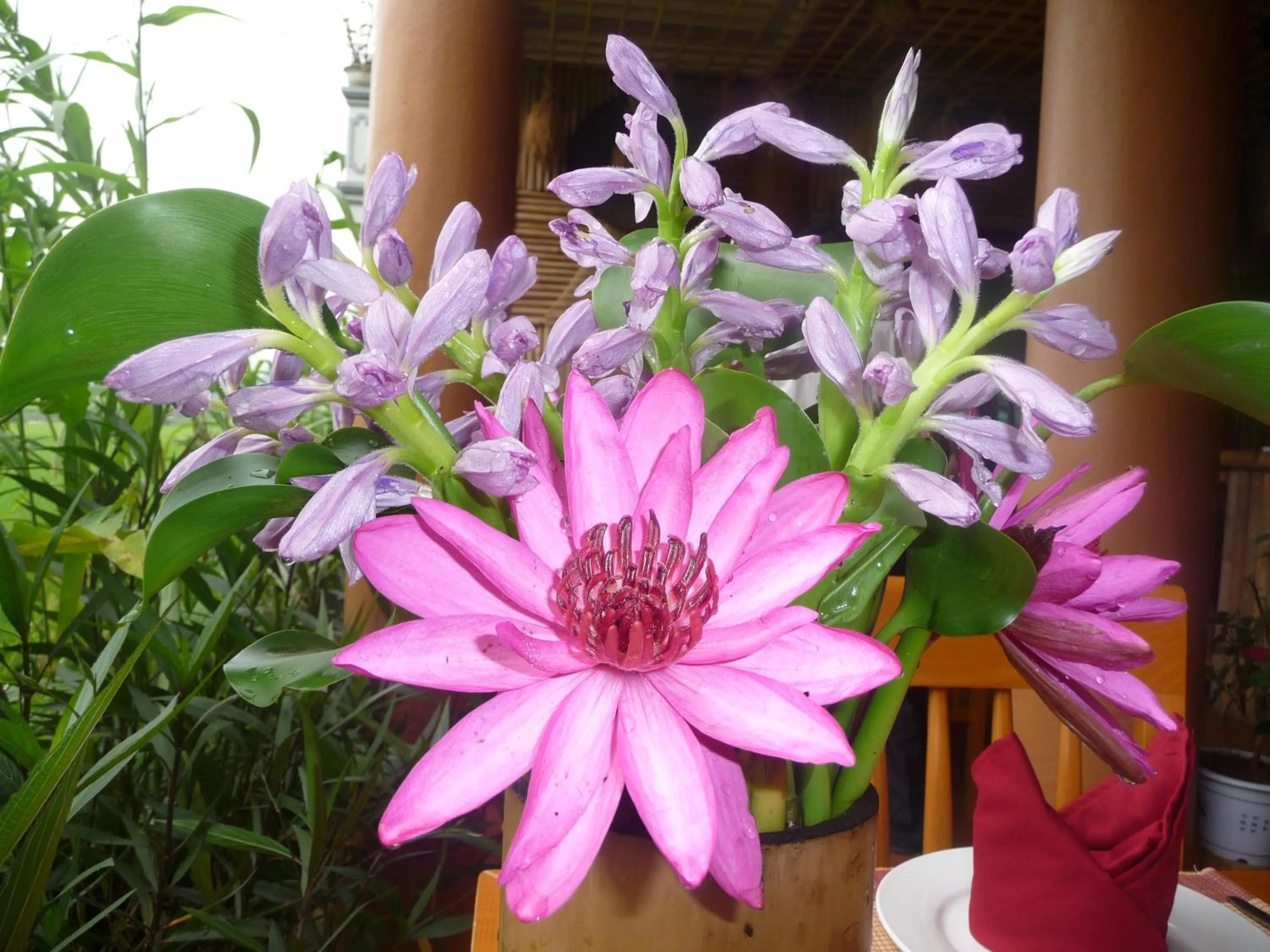 Day in Mai Chau Valley View Hotel