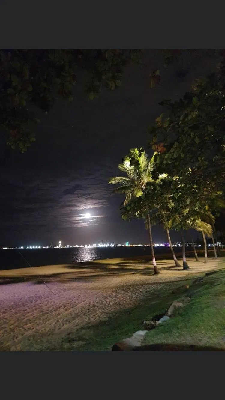 Seafront Studio The Strand