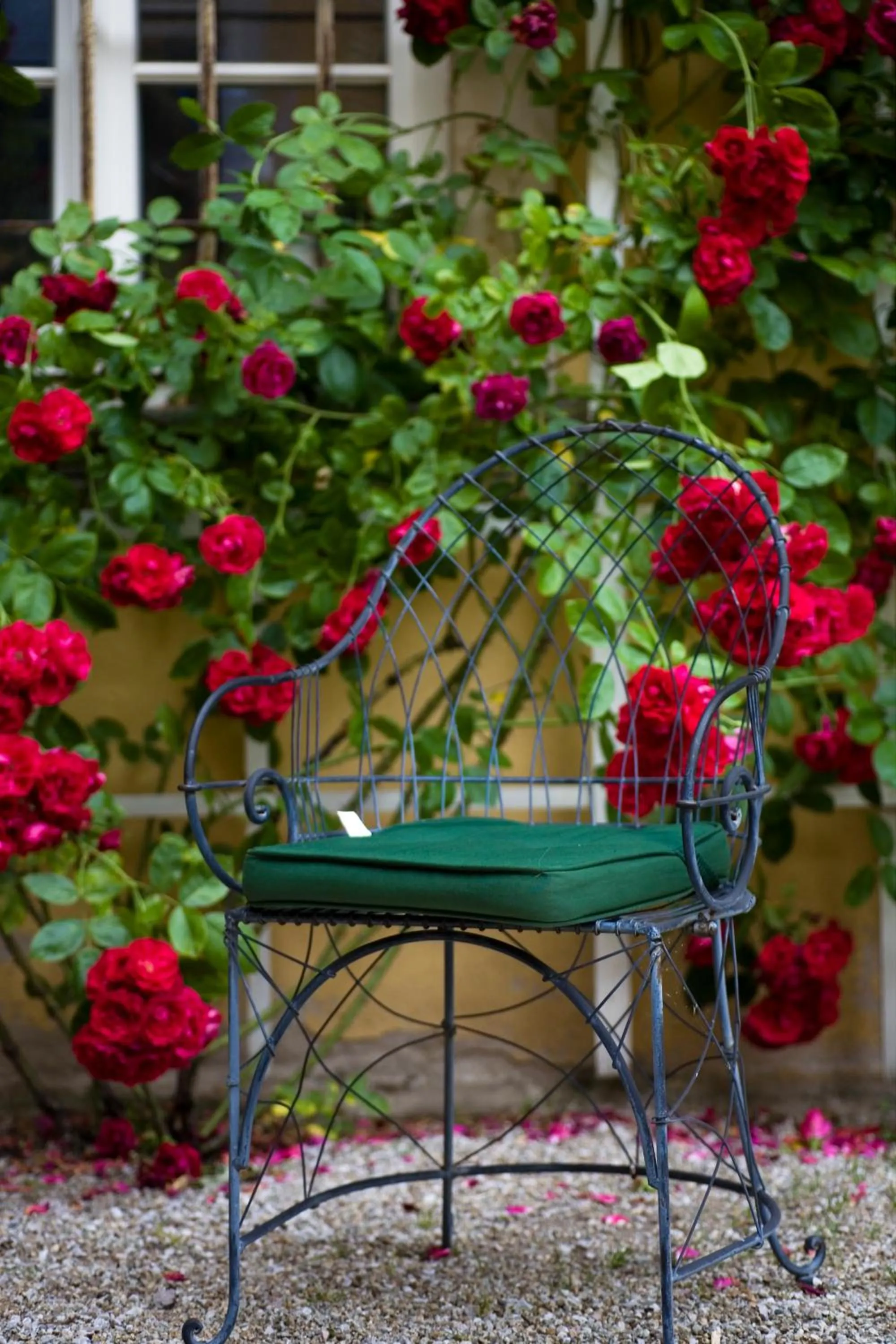 Restaurant/places to eat in Hotel Palac Staniszow