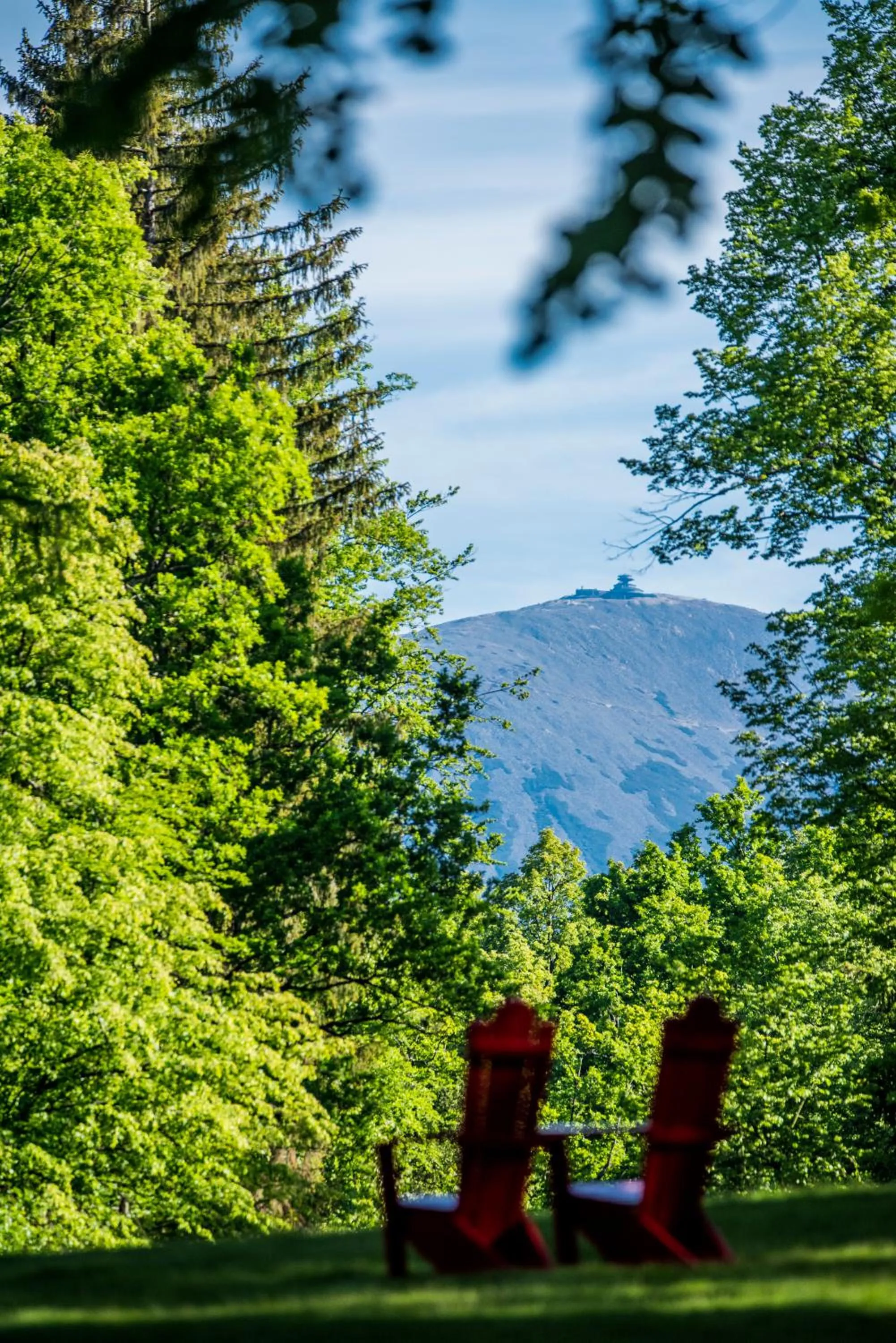 Garden in Hotel Palac Staniszow