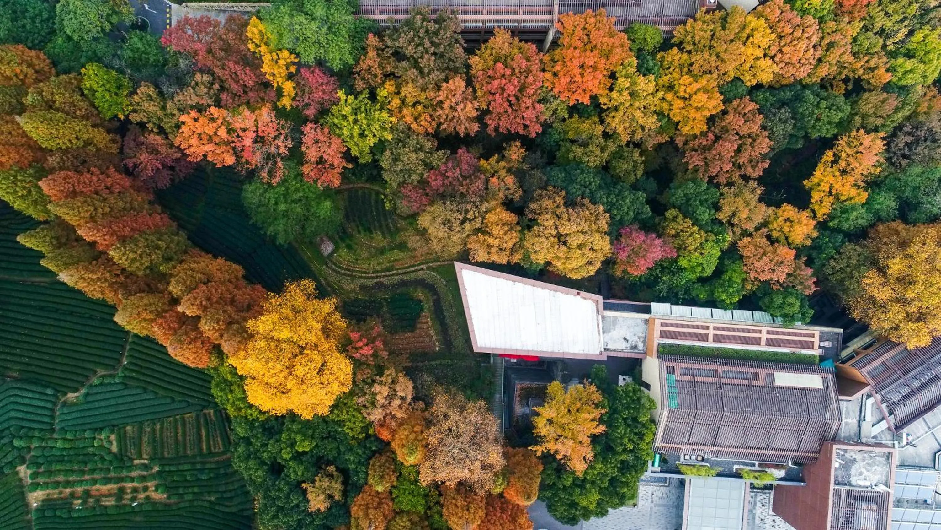 Bird's eye view in Millennium Resort Hangzhou