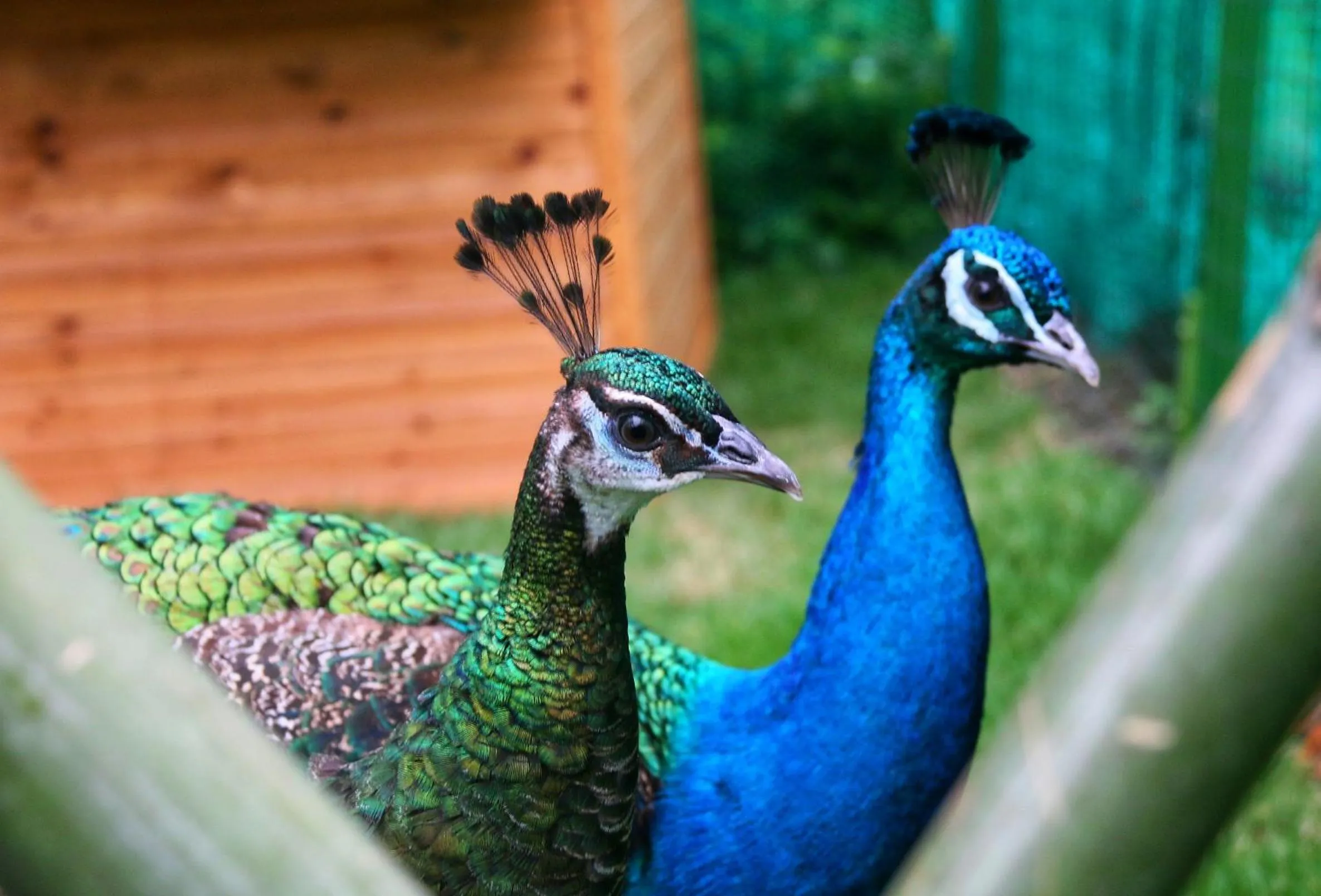 Children play ground in Millennium Resort Hangzhou
