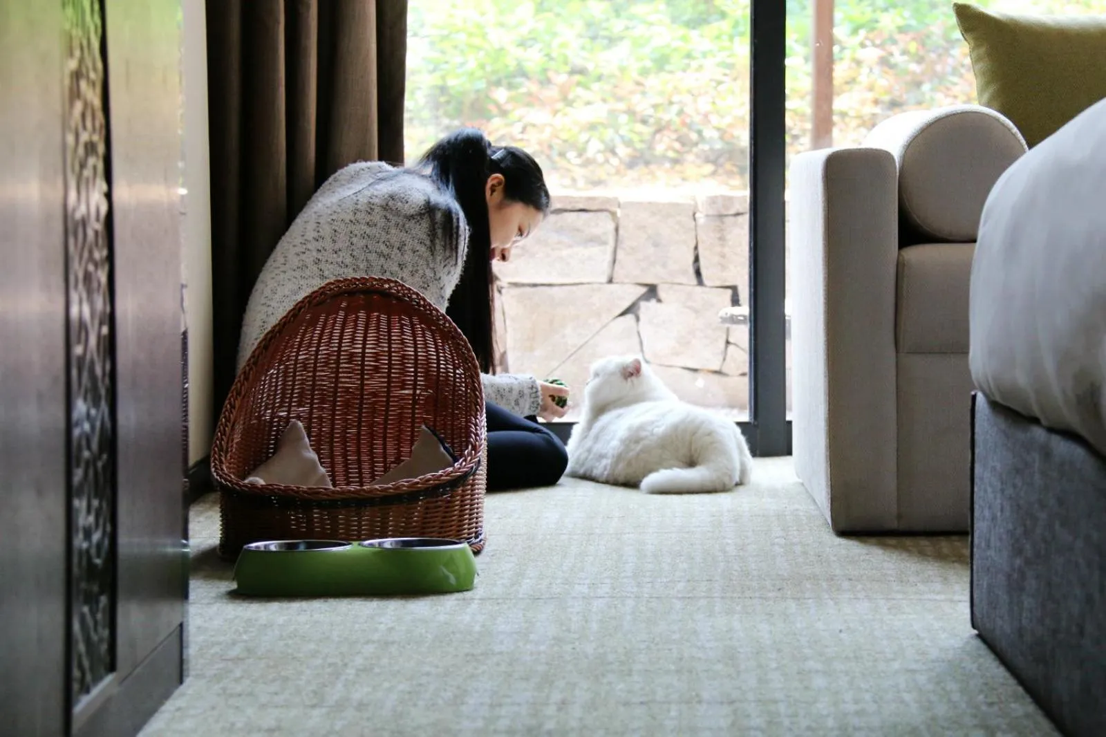 Pets in Millennium Resort Hangzhou