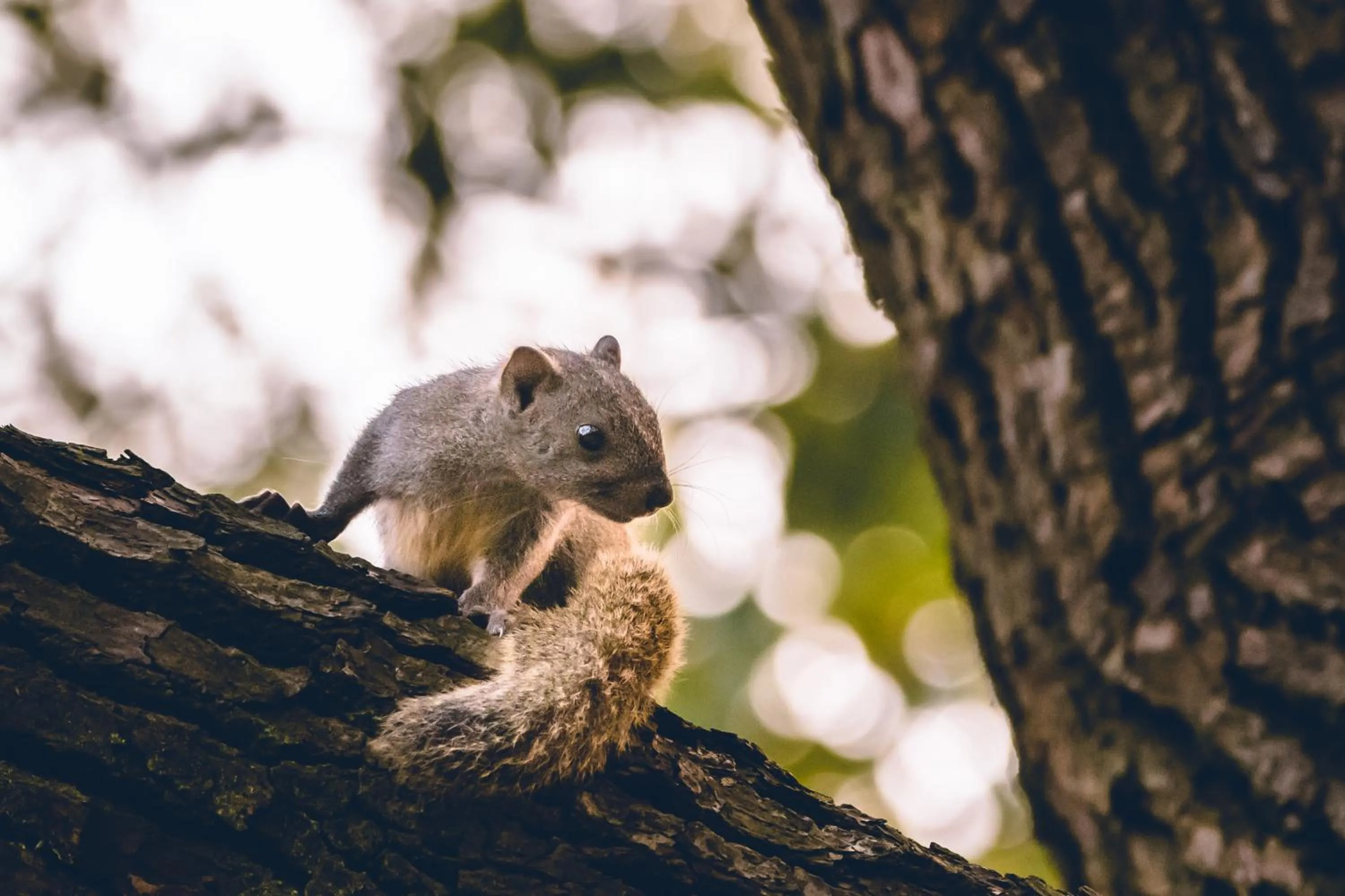 Natural landscape in Millennium Resort Hangzhou