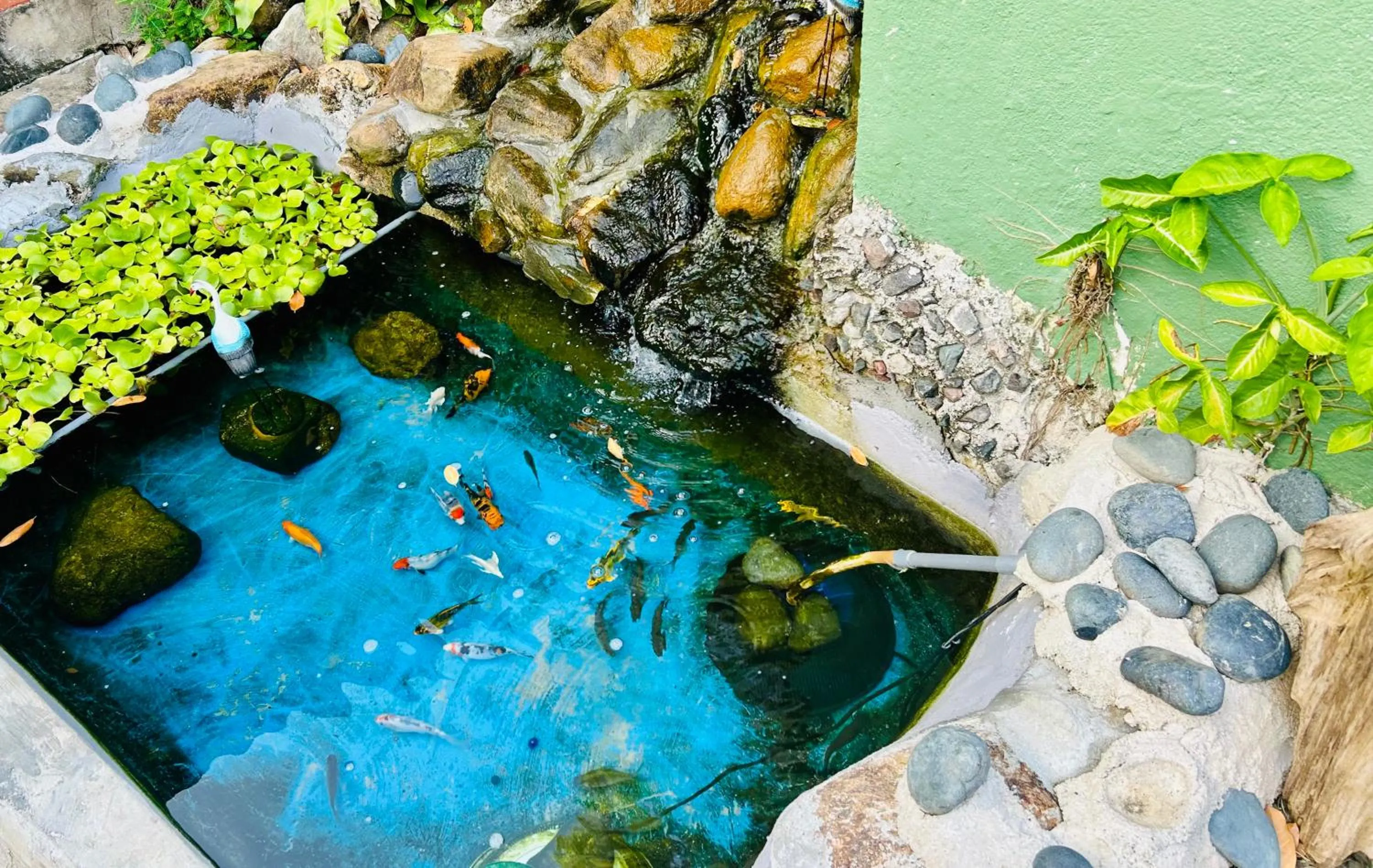 Landmark view in RUMBIA RESORT VILLA Paka Terengganu