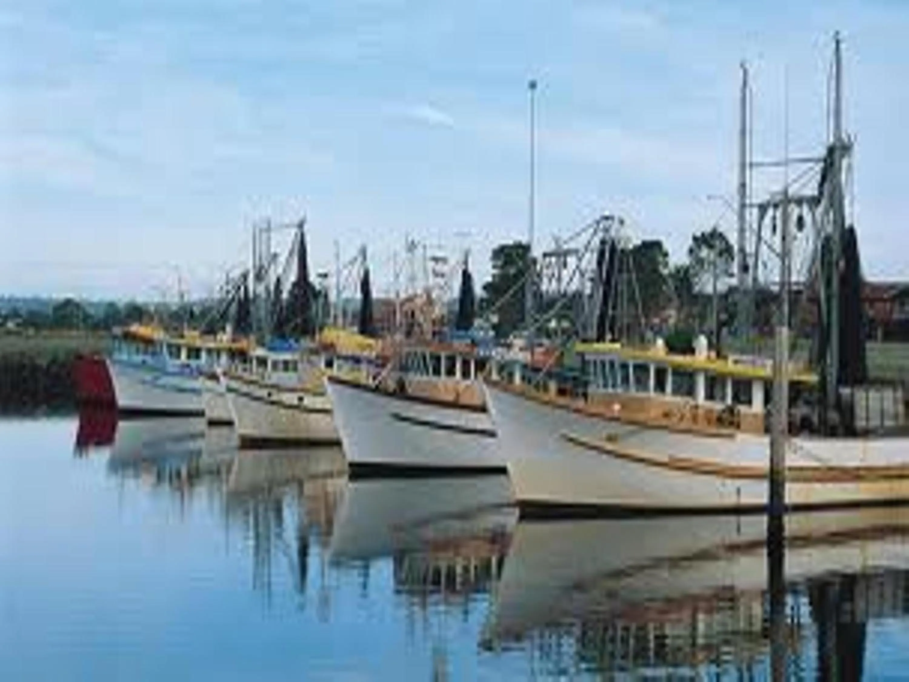 Fishing in Australian Hotel