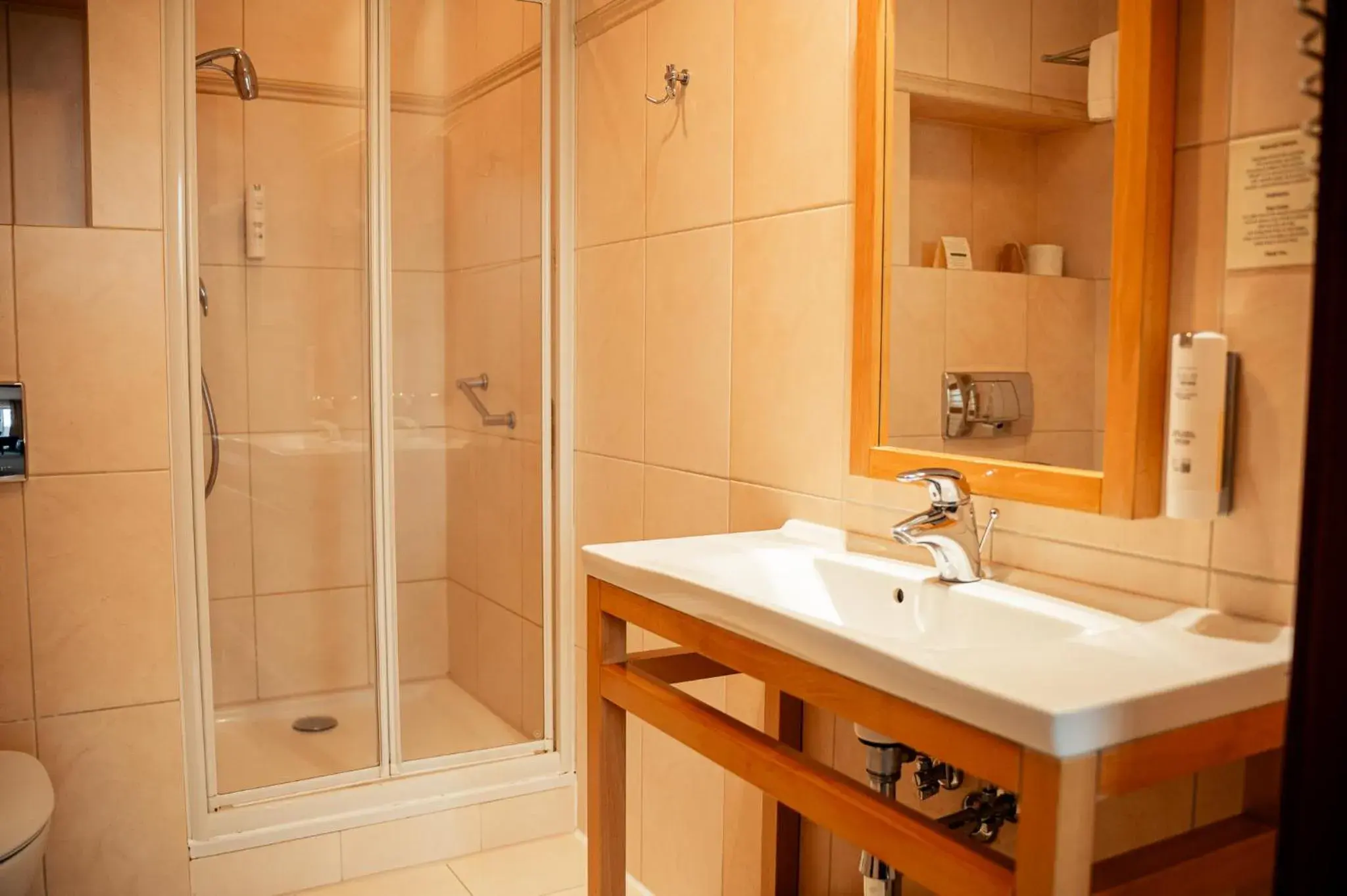 Deluxe Double Room in Hotel Kuracyjny Spa & Wellness Deluxe Double Room in Hotel Kuracyjny Spa & Wellness