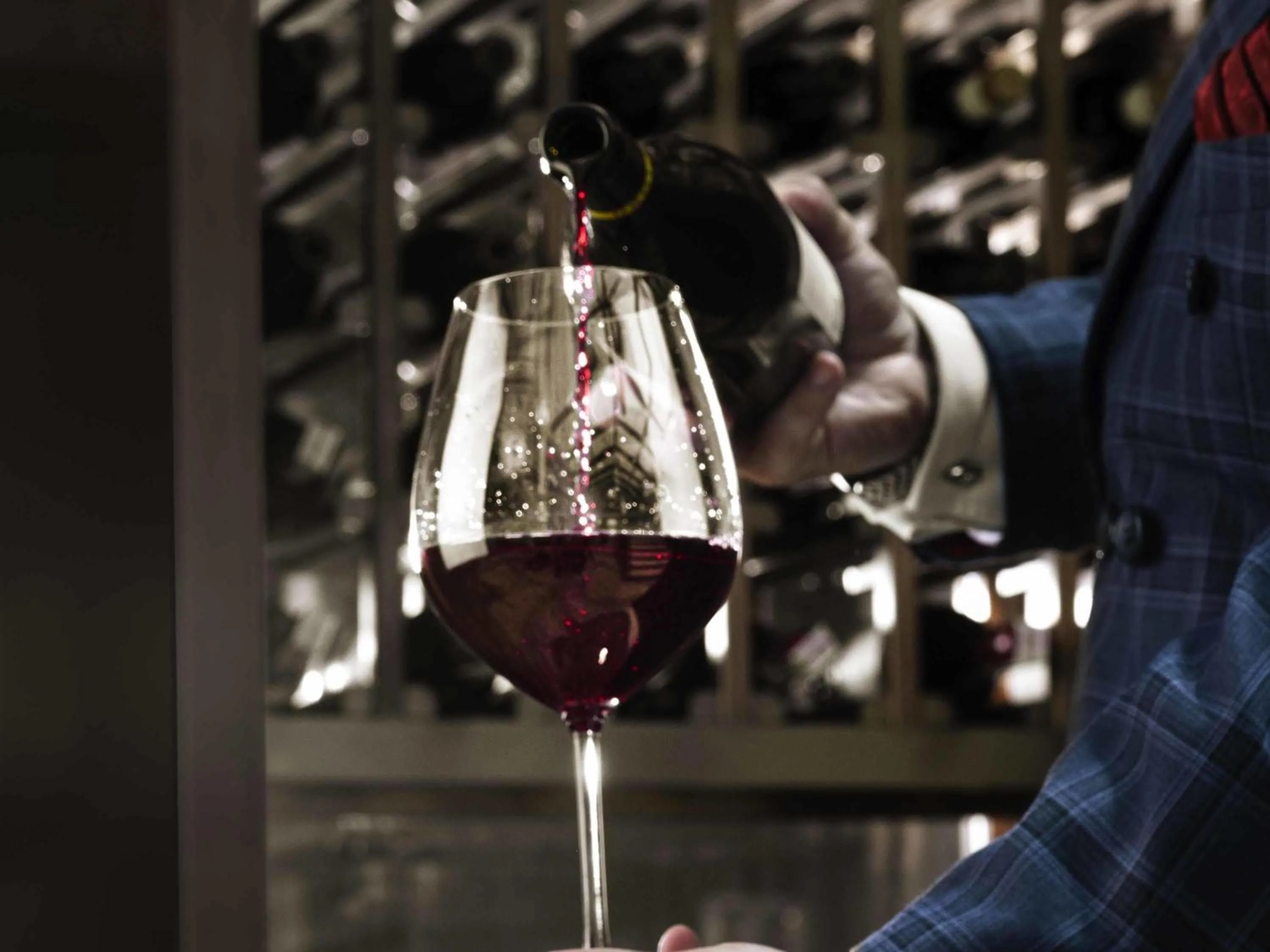 Lounge or bar in Admiral Hotel Manila - MGallery Collection