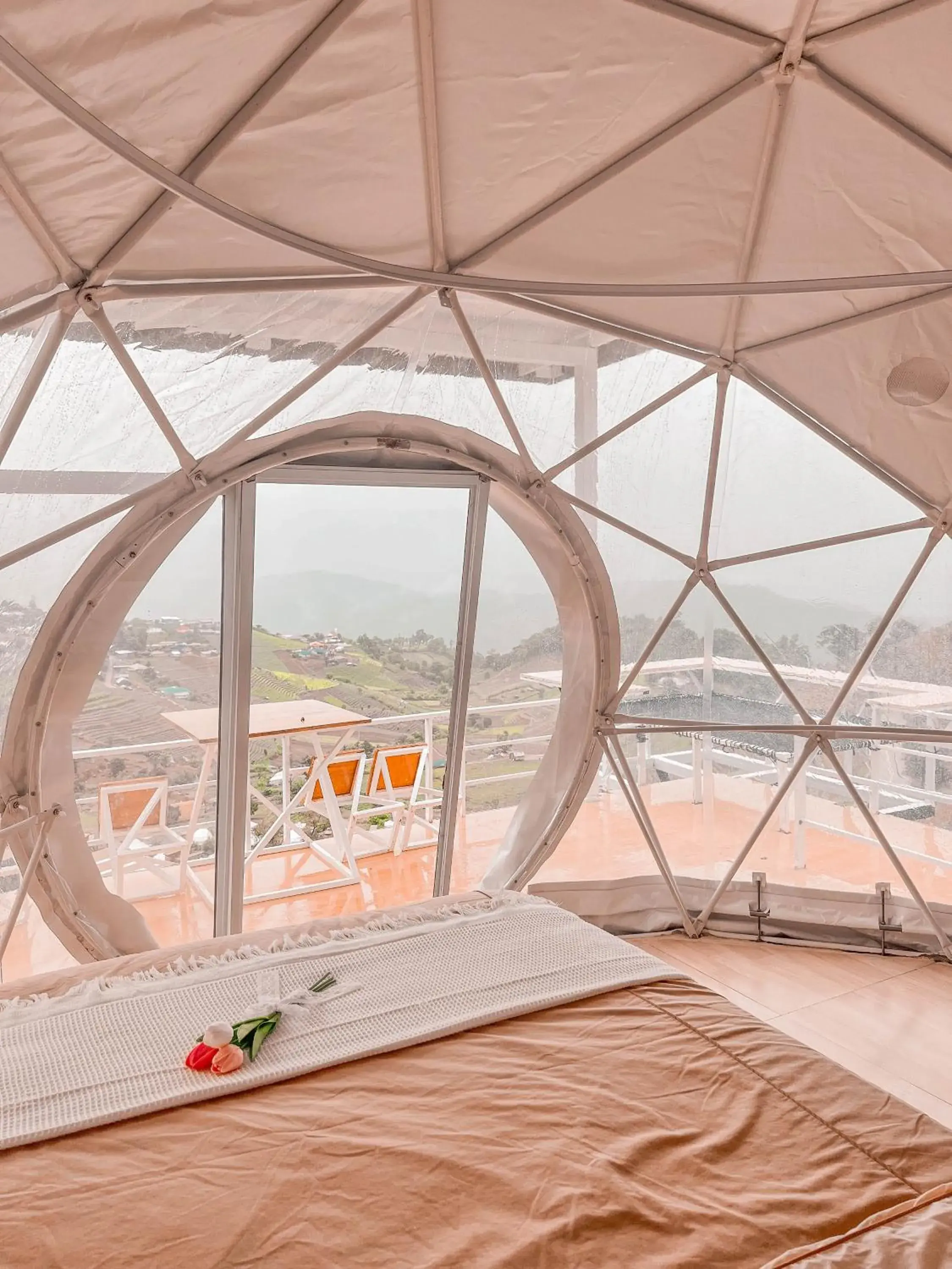 View (from property/room), Bed in ม่อนชาพาเพลิน ม่อนแจ่ม Monchapaplearn Monjam View (from property/room), Bed in ม่อนชาพาเพลิน ม่อนแจ่ม Monchapaplearn Monjam