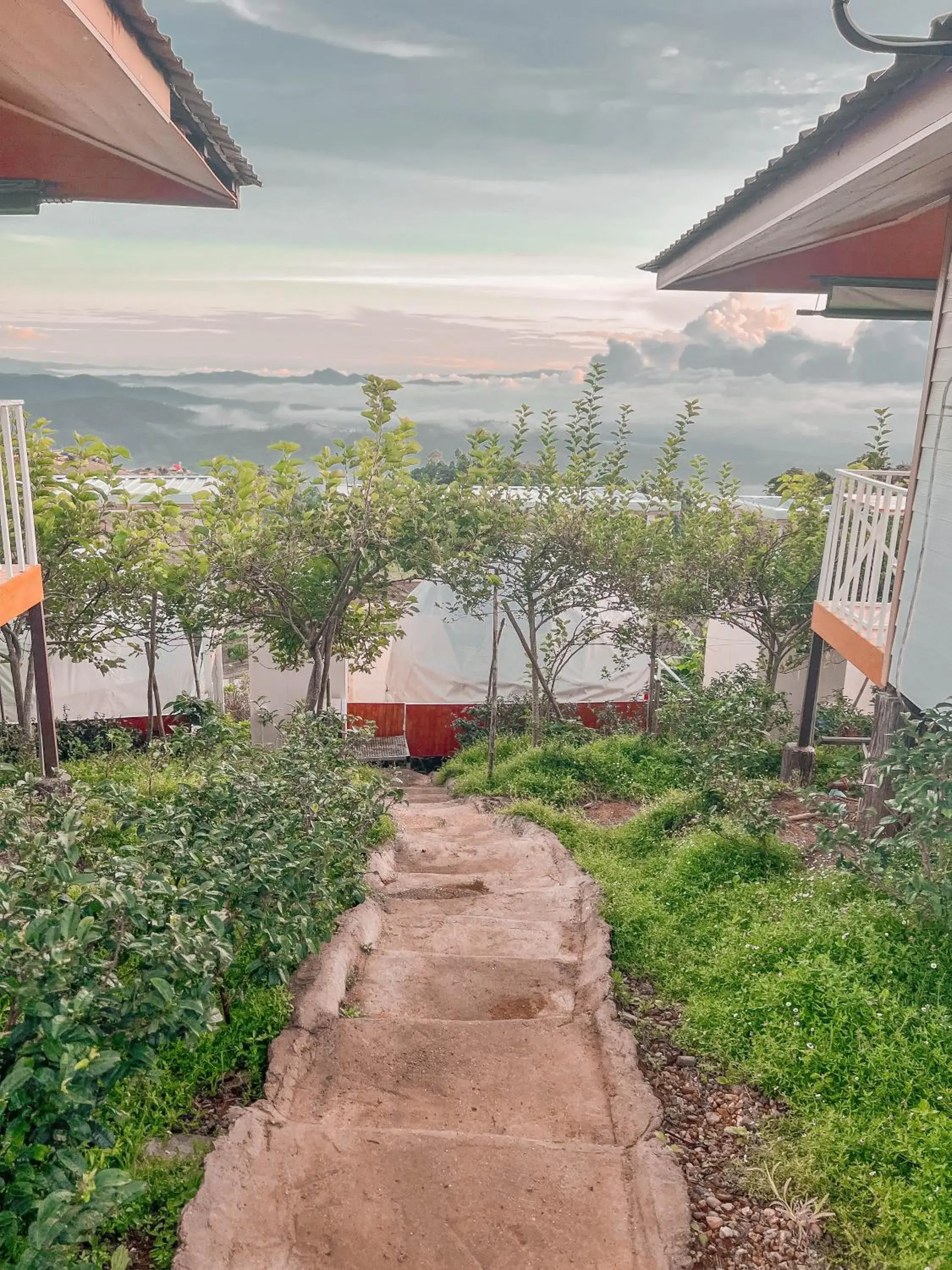 View (from property/room) in ม่อนชาพาเพลิน ม่อนแจ่ม Monchapaplearn Monjam View (from property/room) in ม่อนชาพาเพลิน ม่อนแจ่ม Monchapaplearn Monjam