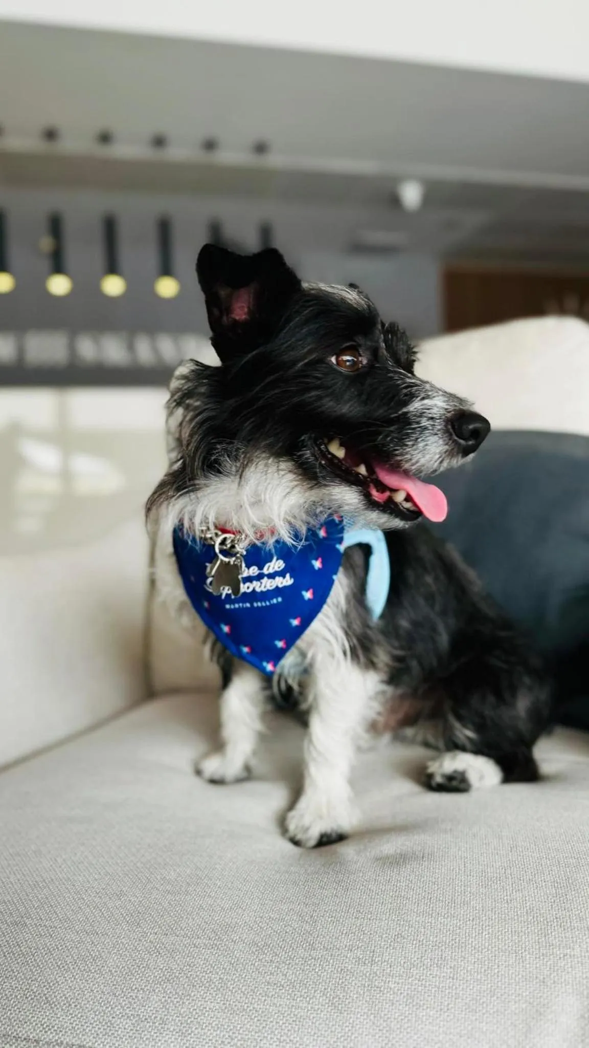 Animals in Hotel New Skanpol