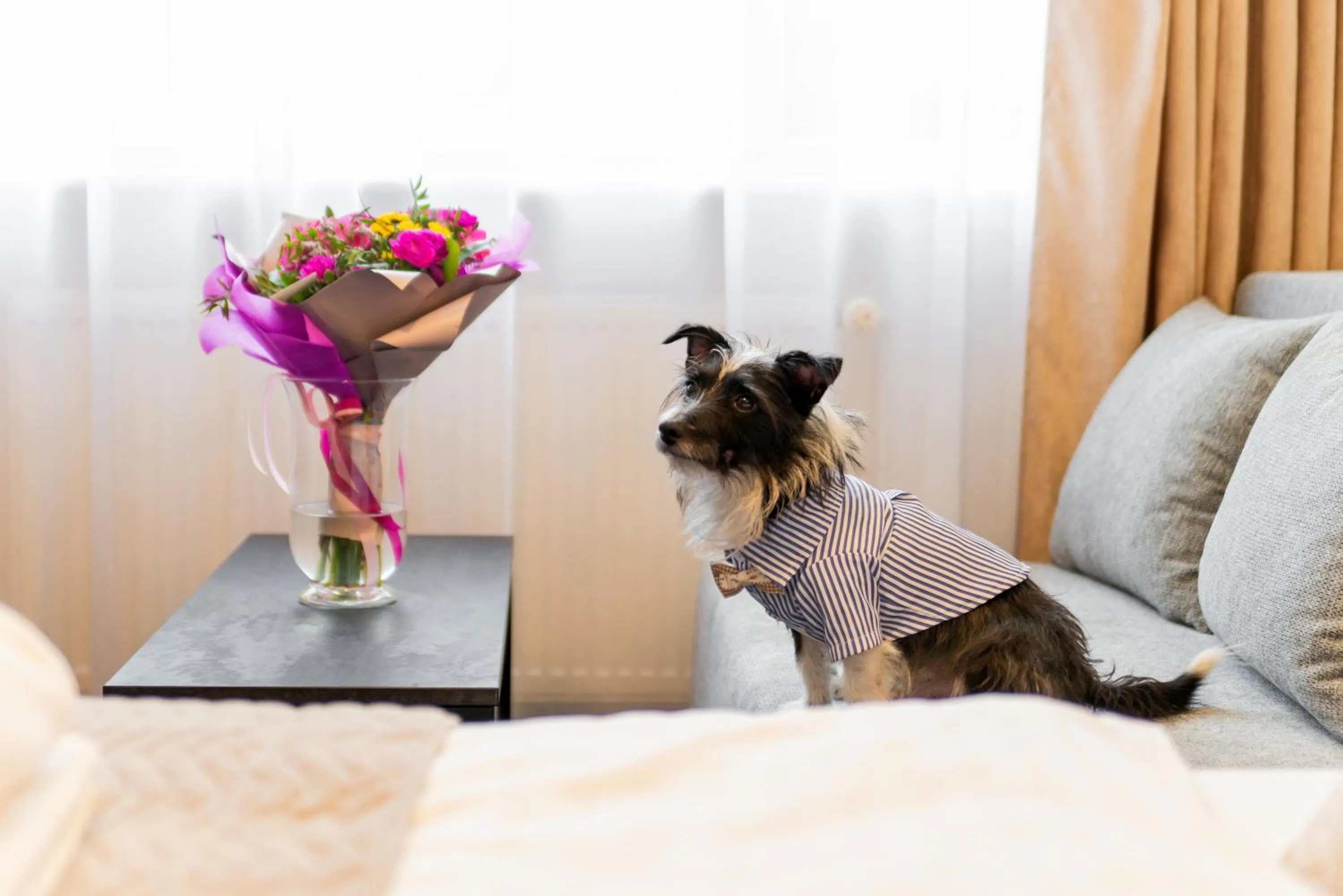 Animals in Hotel New Skanpol