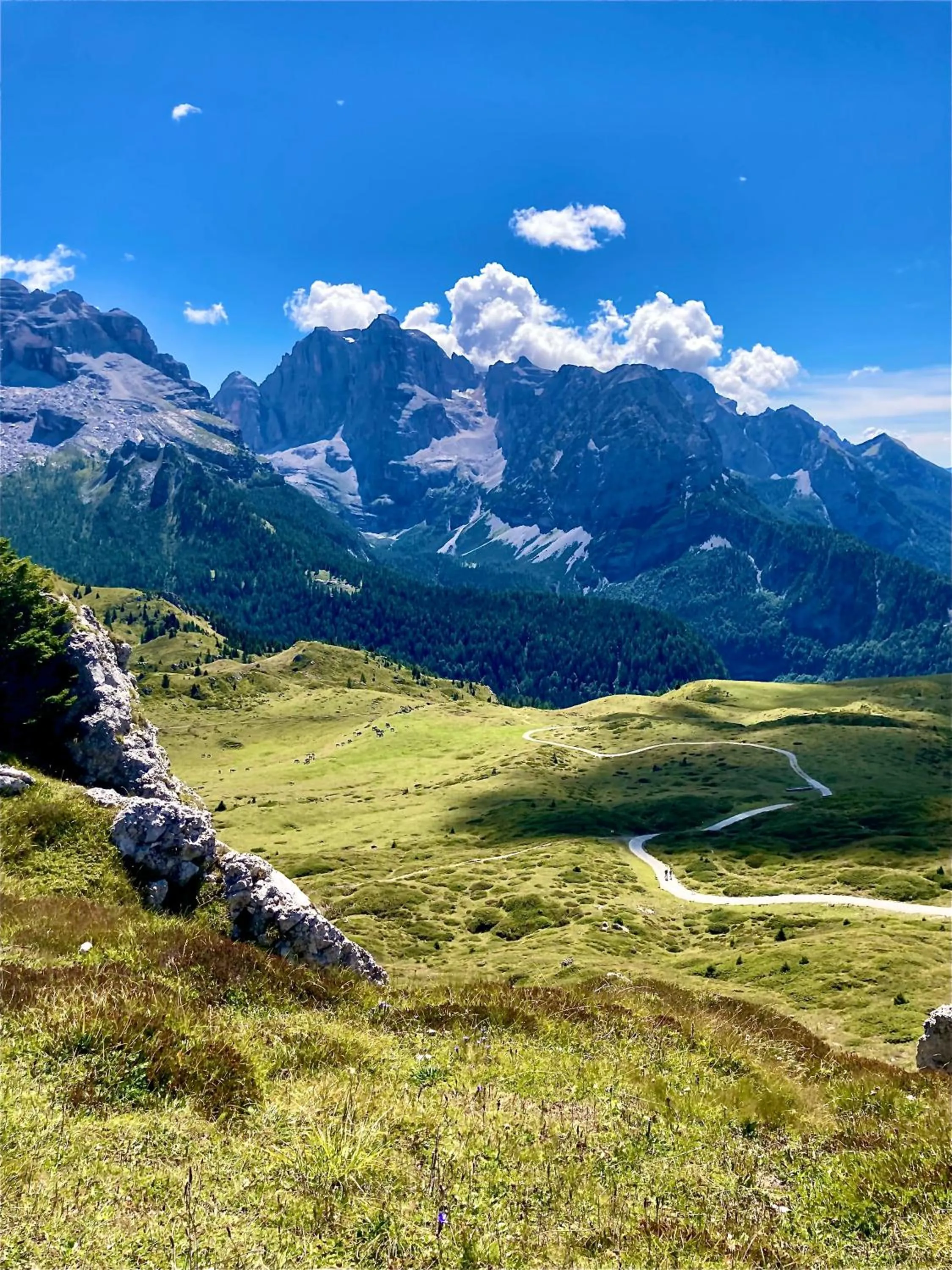 Natural landscape in Outdooredo Garda Apartment