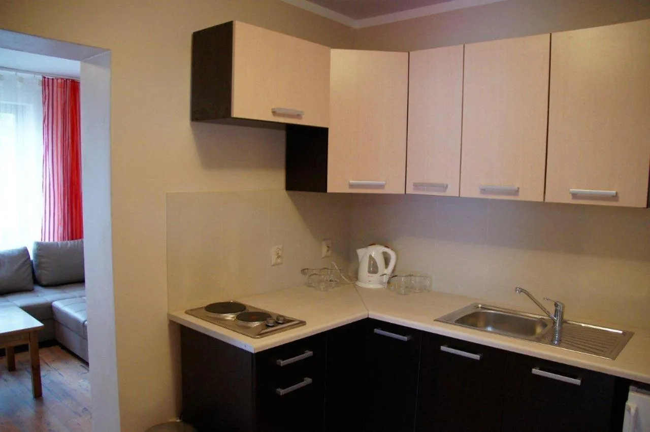 Kitchen or kitchenette in Pensjonat Amber