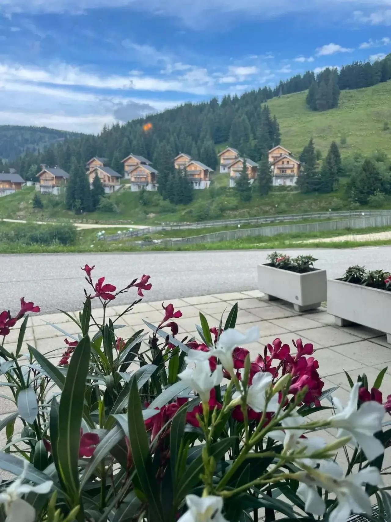 Neighbourhood in Hotel Koralpe