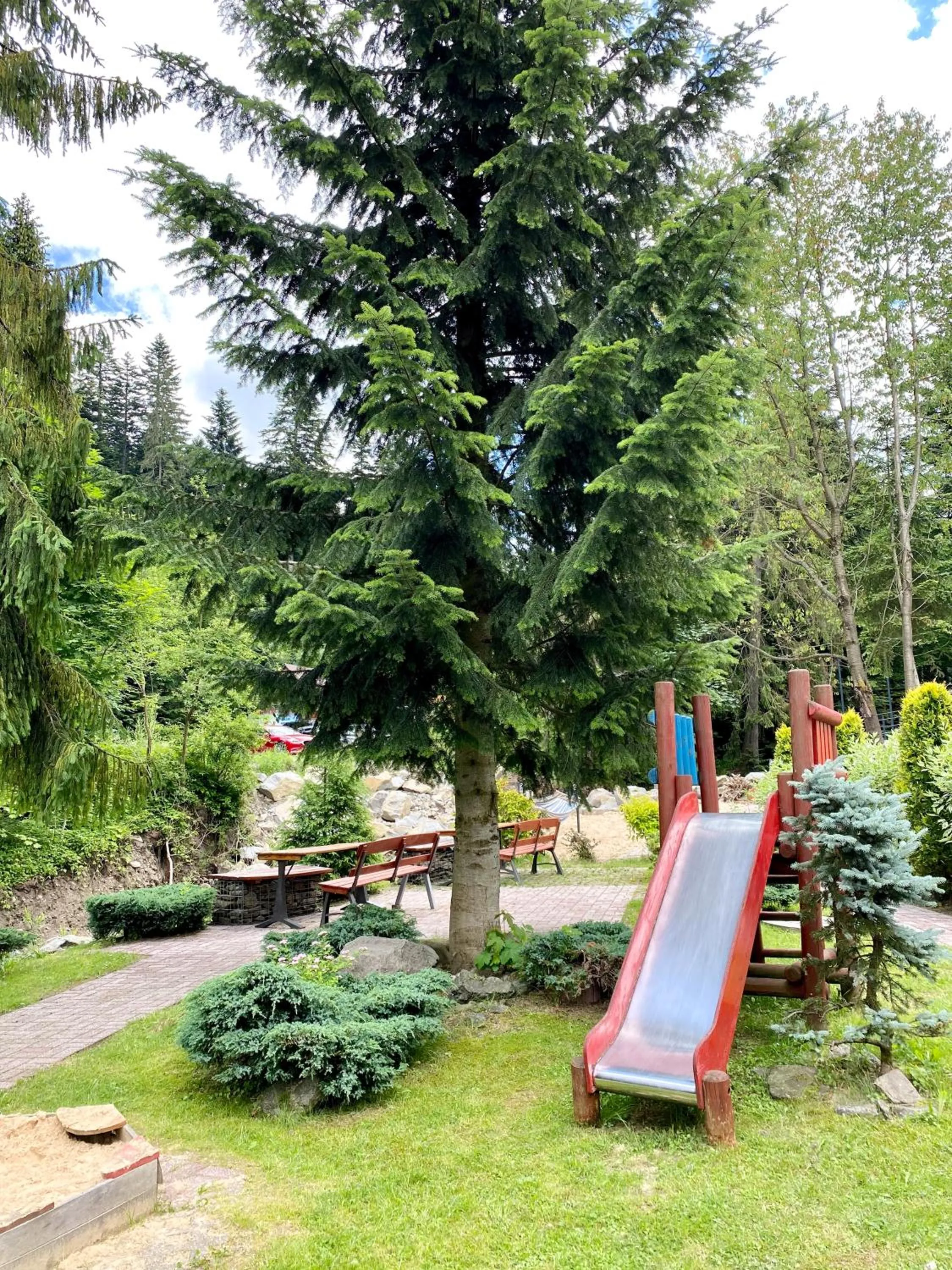 Garden in Hotel Fero Lux