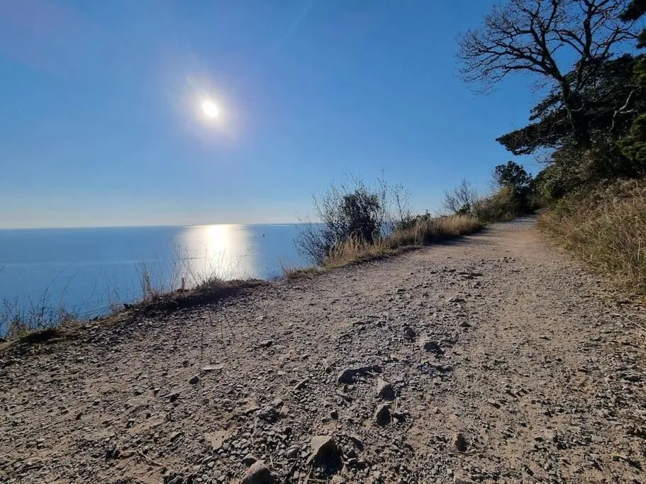 Nearby landmark in Residence Montanelli