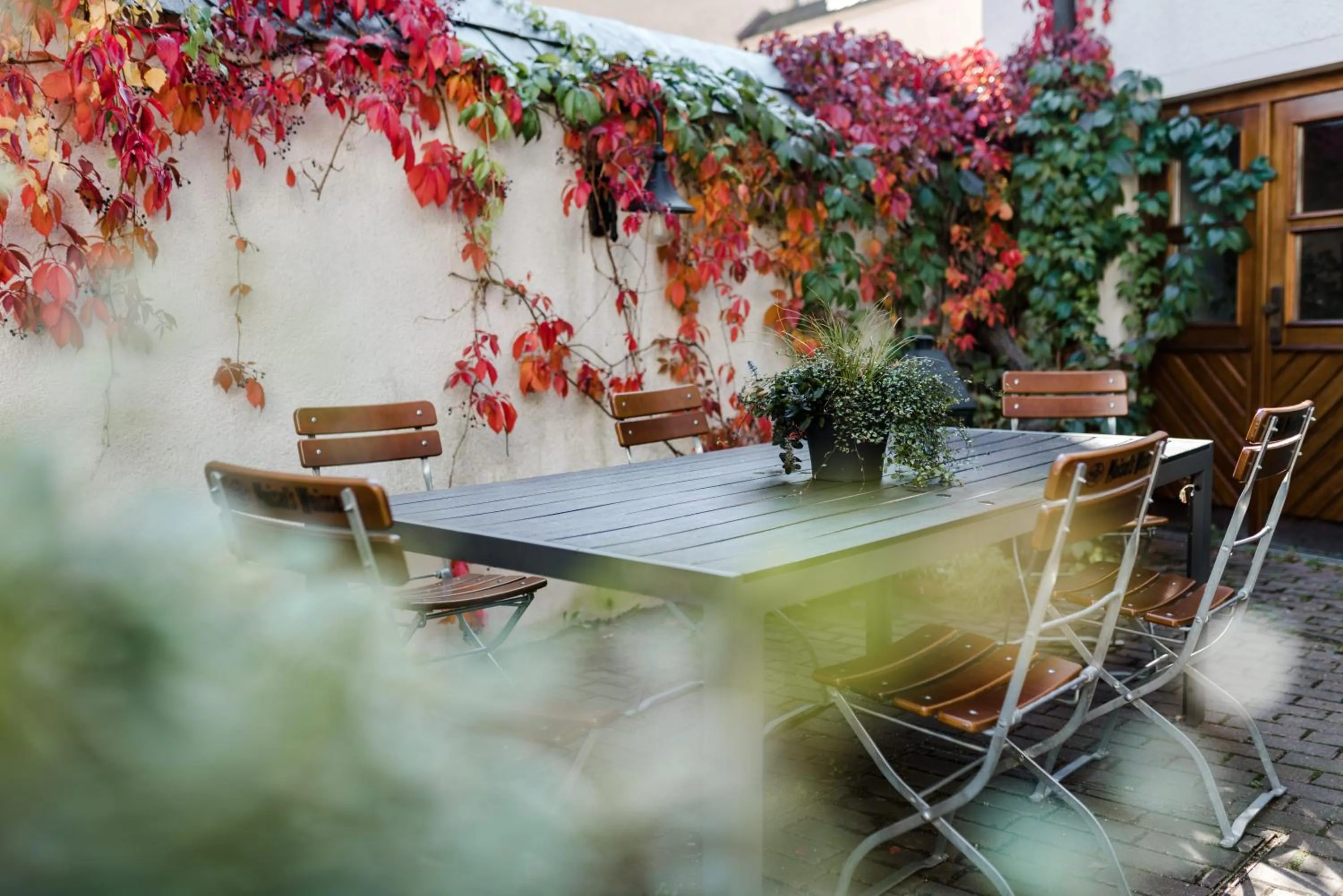 Garden in Sommers Hotel Altes Posteck