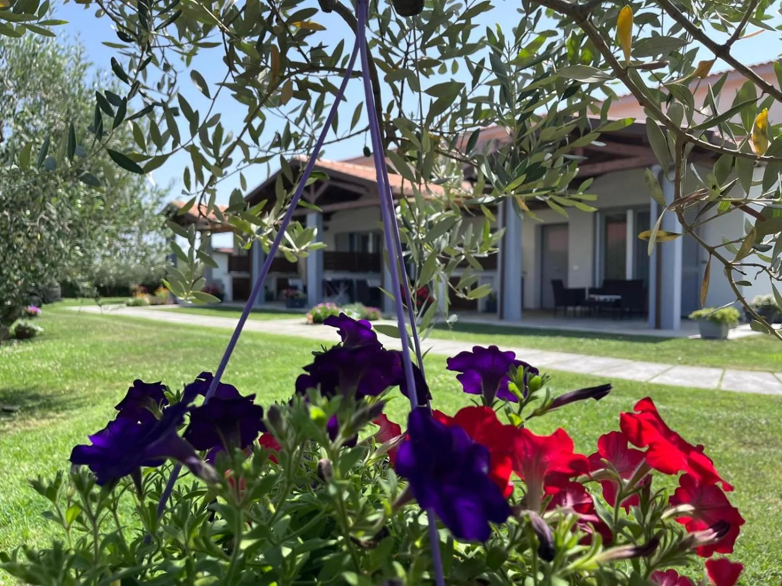 Garden in Residence la Pace - Pool & Relax