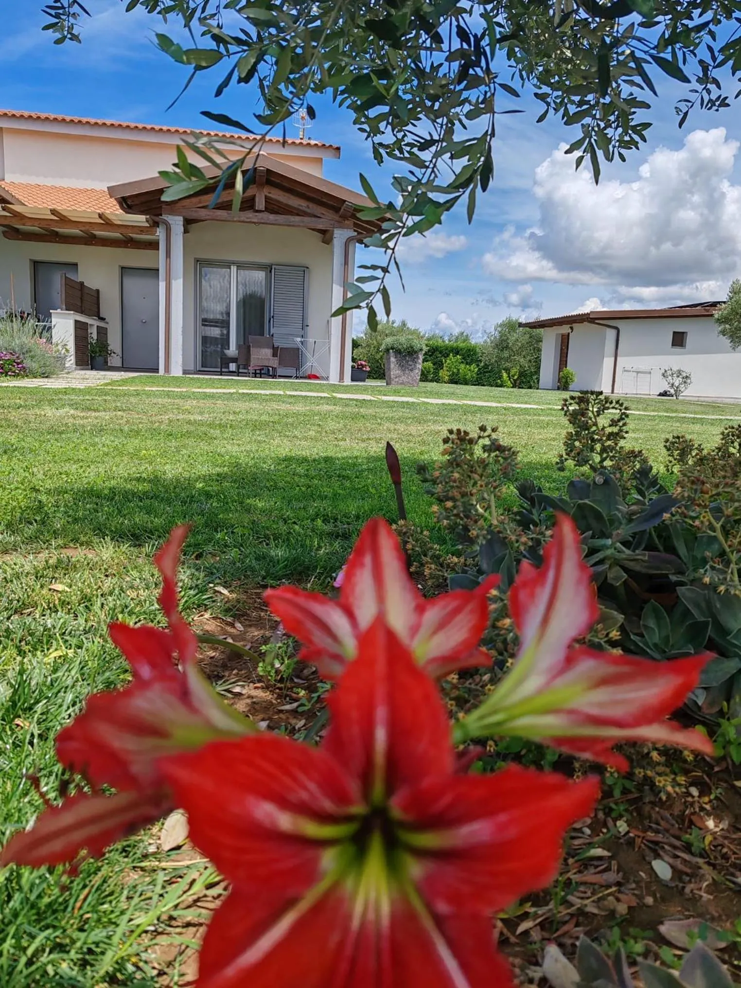 Inner courtyard view in Residence la Pace - Pool & Relax