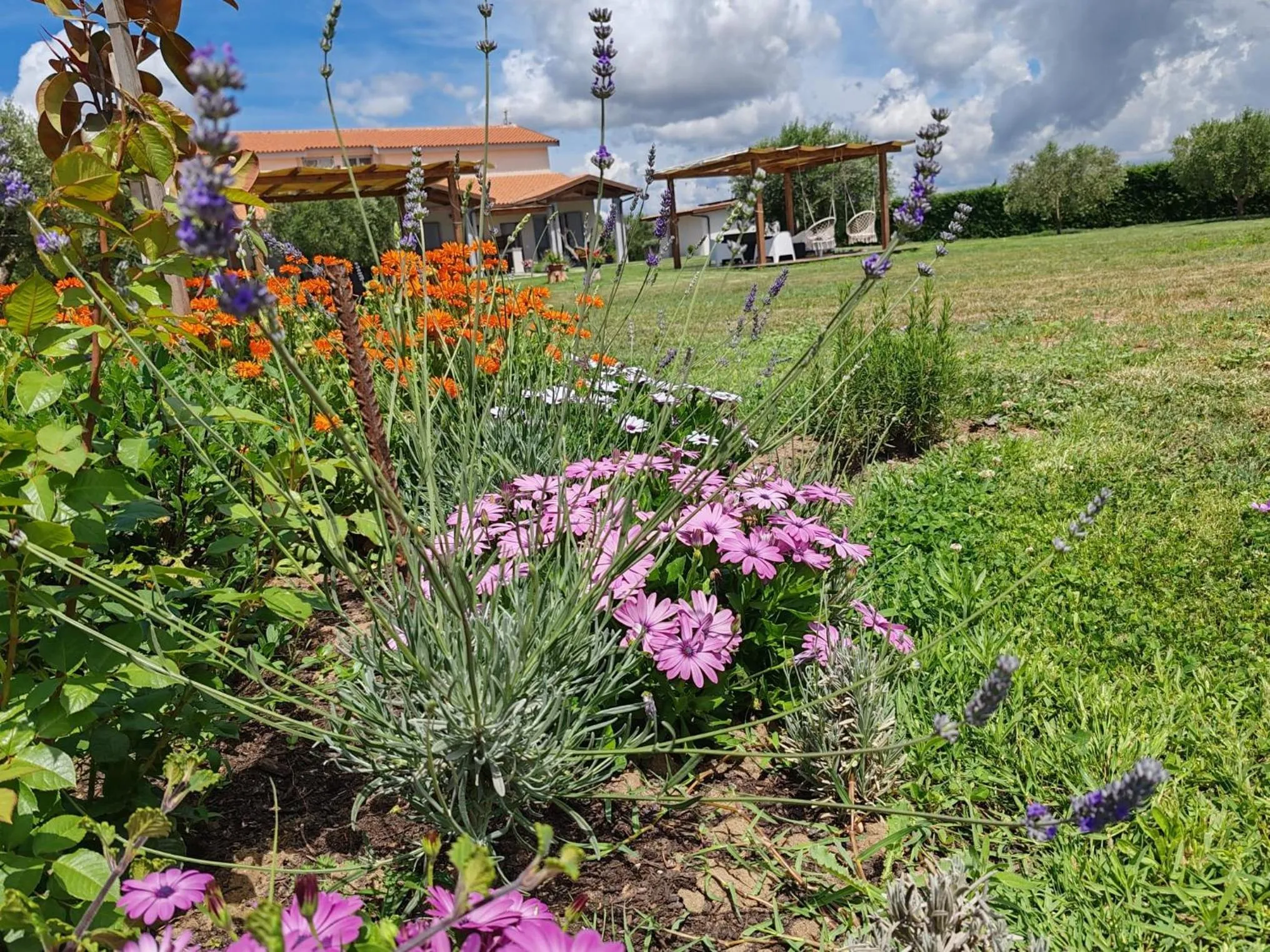 Garden in Residence la Pace - Pool & Relax