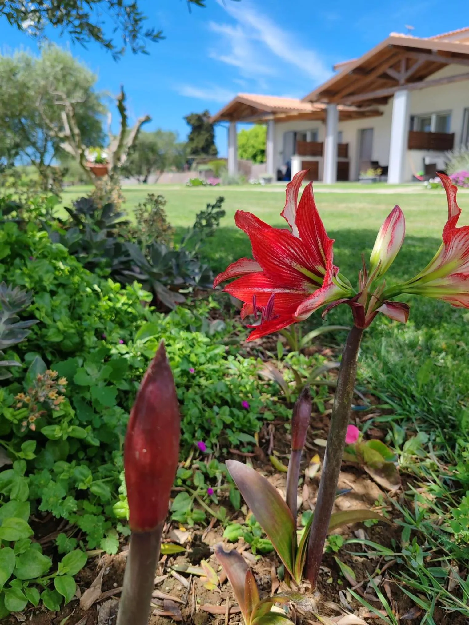 Garden in Residence la Pace - Pool & Relax