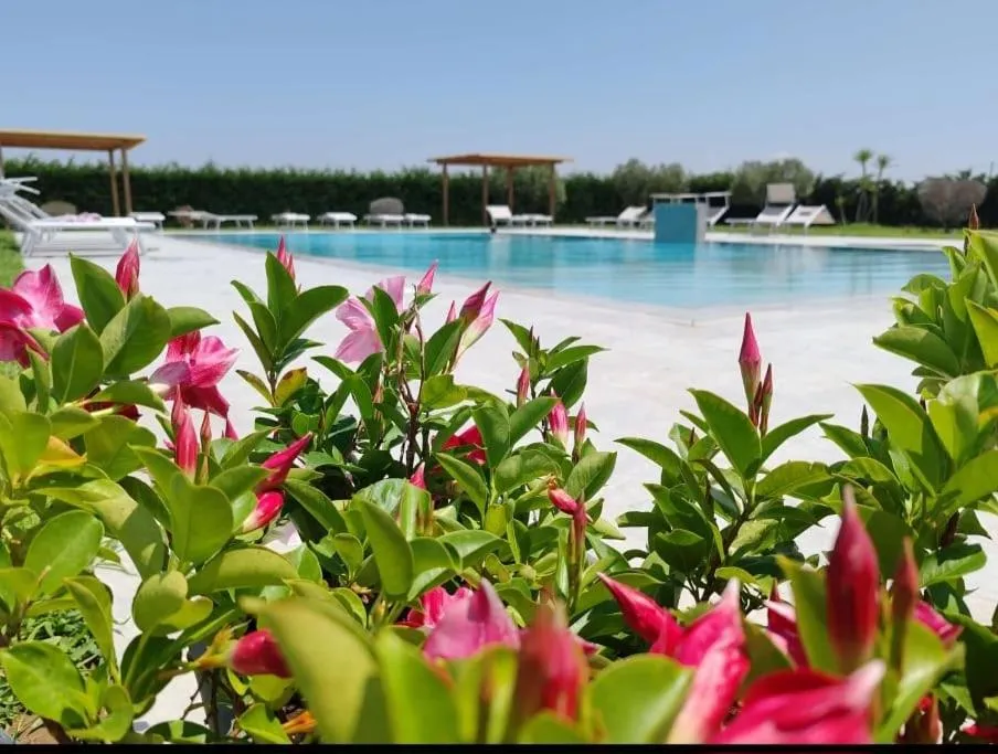 Swimming pool in Residence la Pace - Pool & Relax