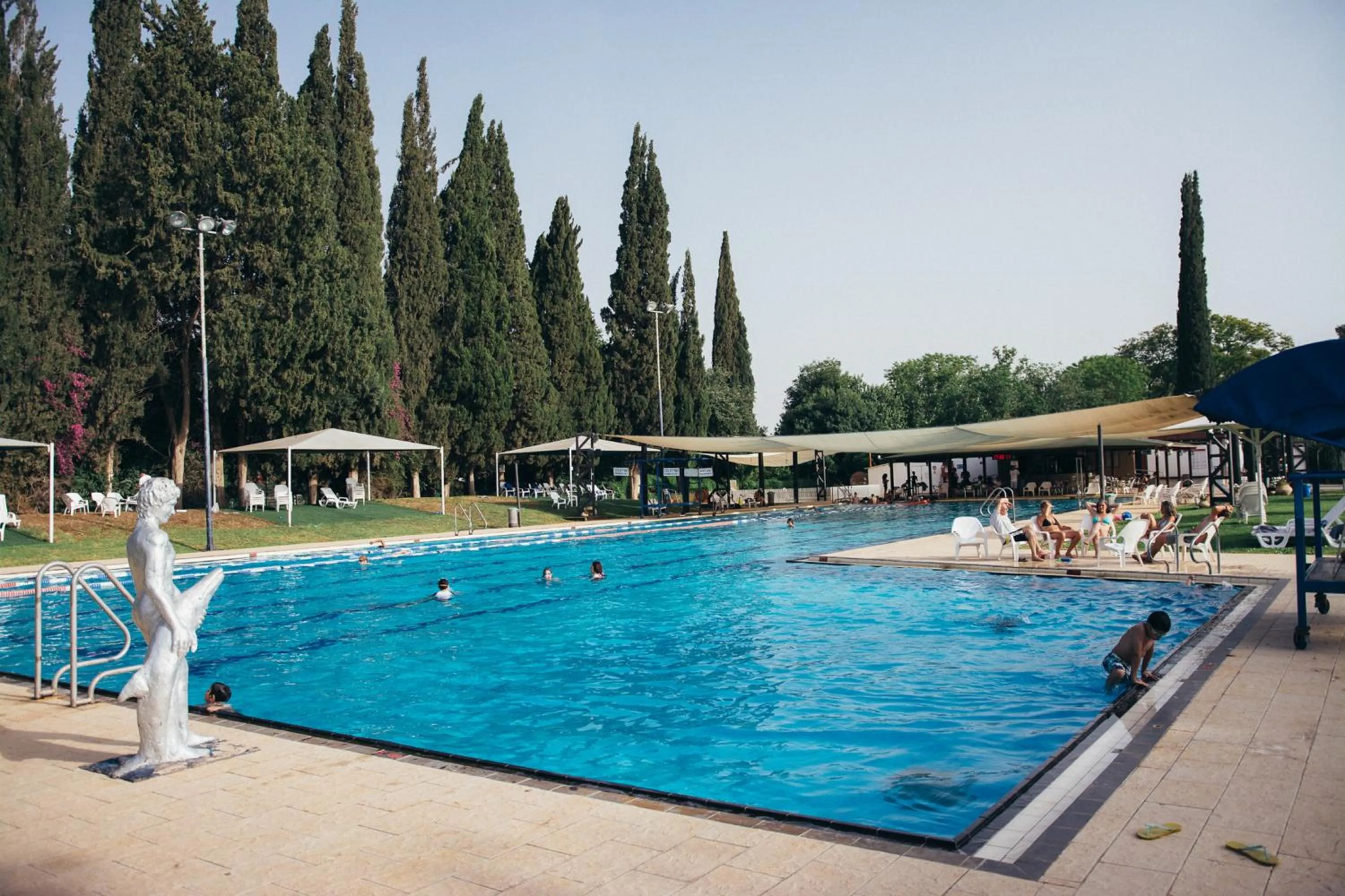 Swimming pool in Pastoral Hotel - Kfar Blum
