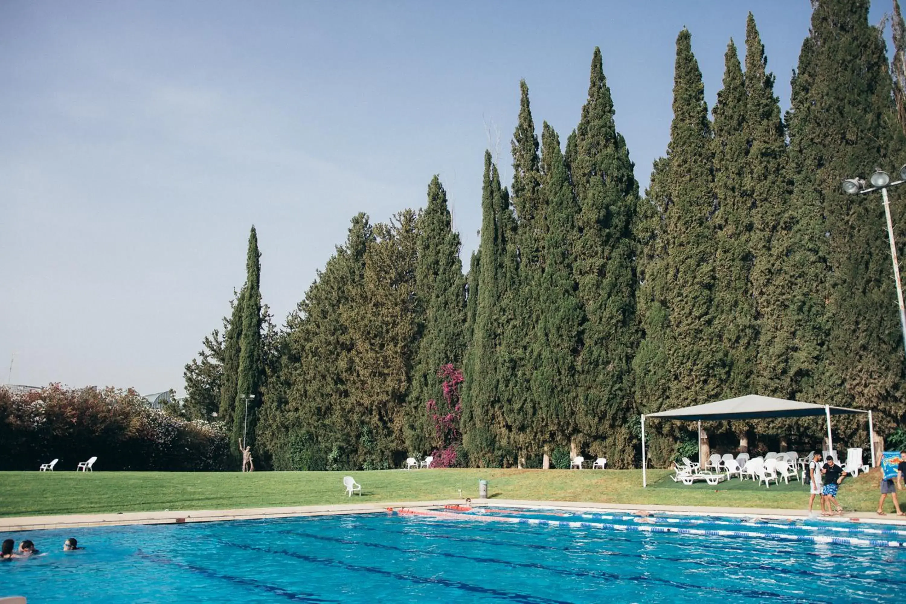 Swimming pool in Pastoral Hotel - Kfar Blum Swimming pool in Pastoral Hotel - Kfar Blum