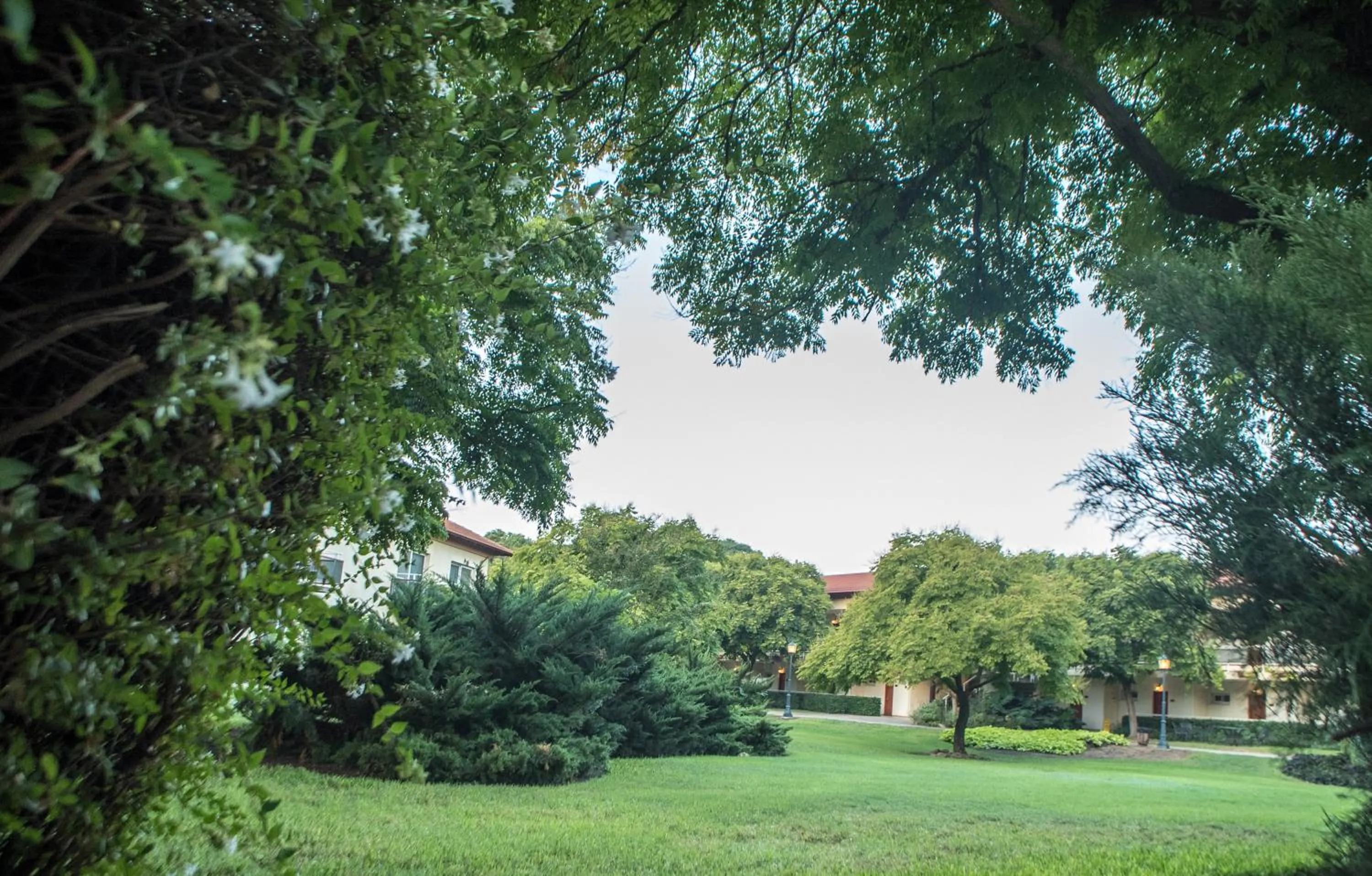 Garden in Pastoral Hotel - Kfar Blum