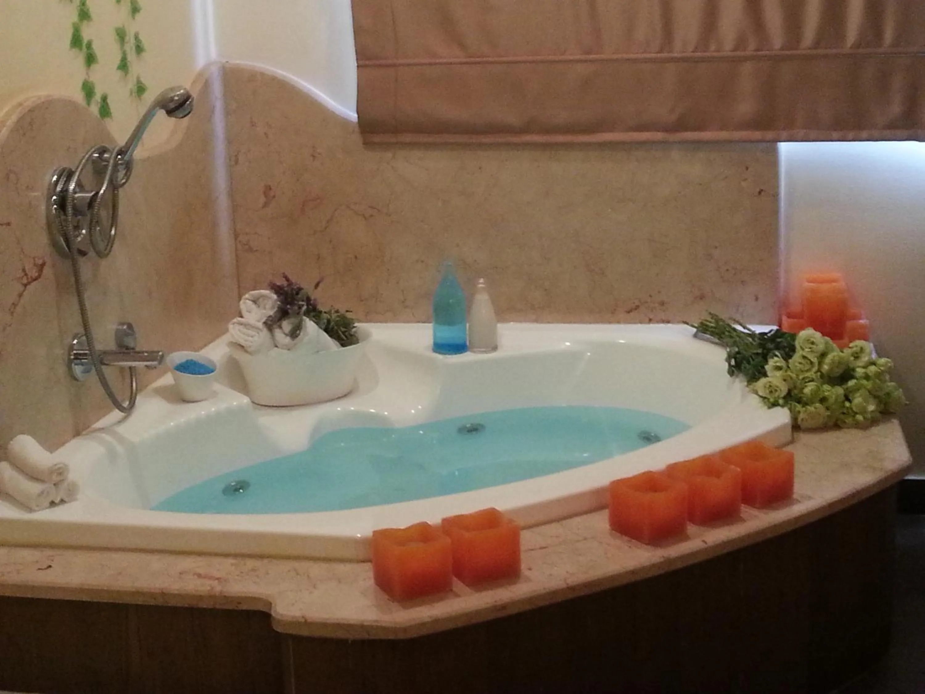 Spa and wellness centre/facilities in Pastoral Hotel - Kfar Blum