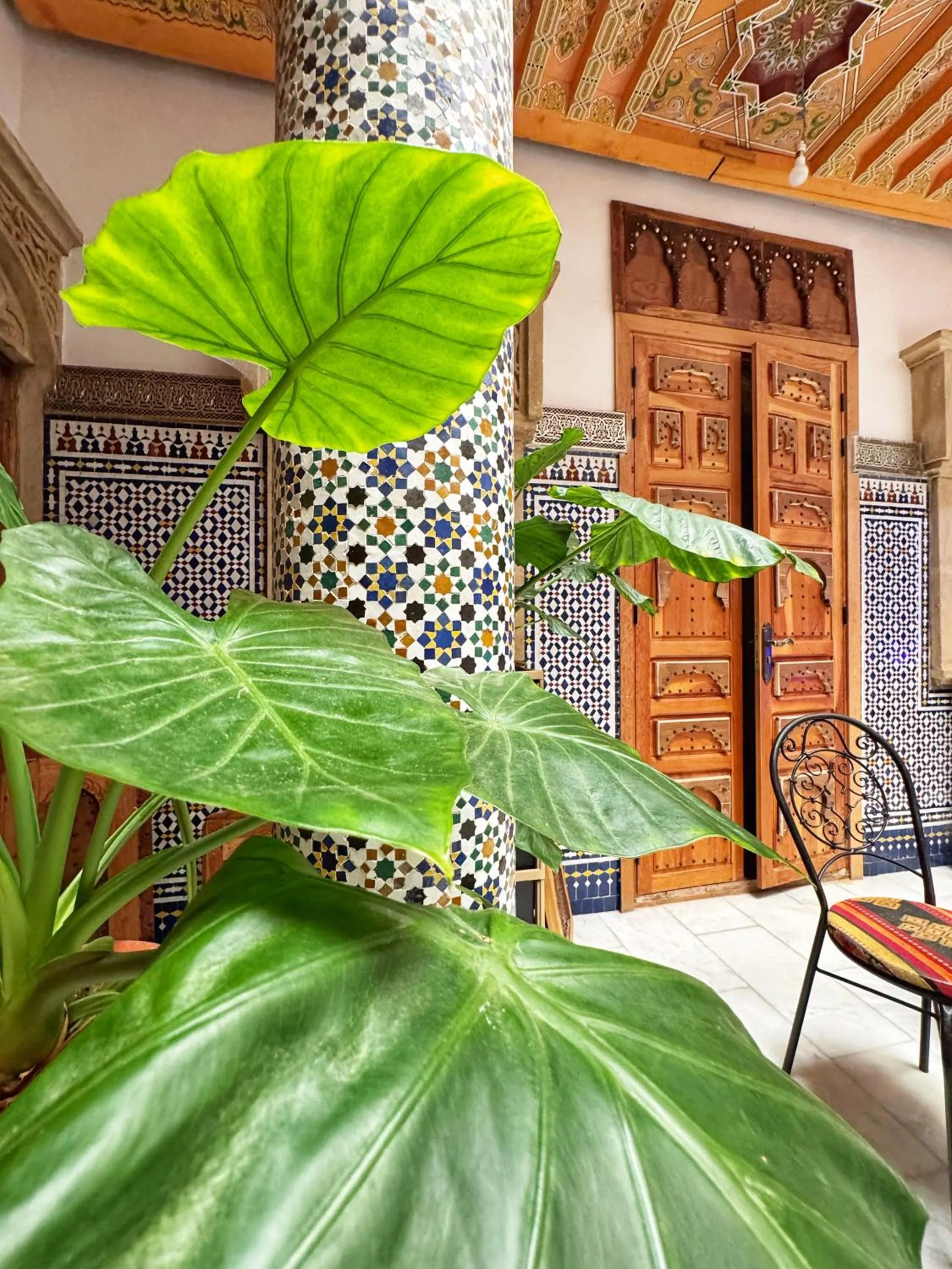 Riad Majorelle