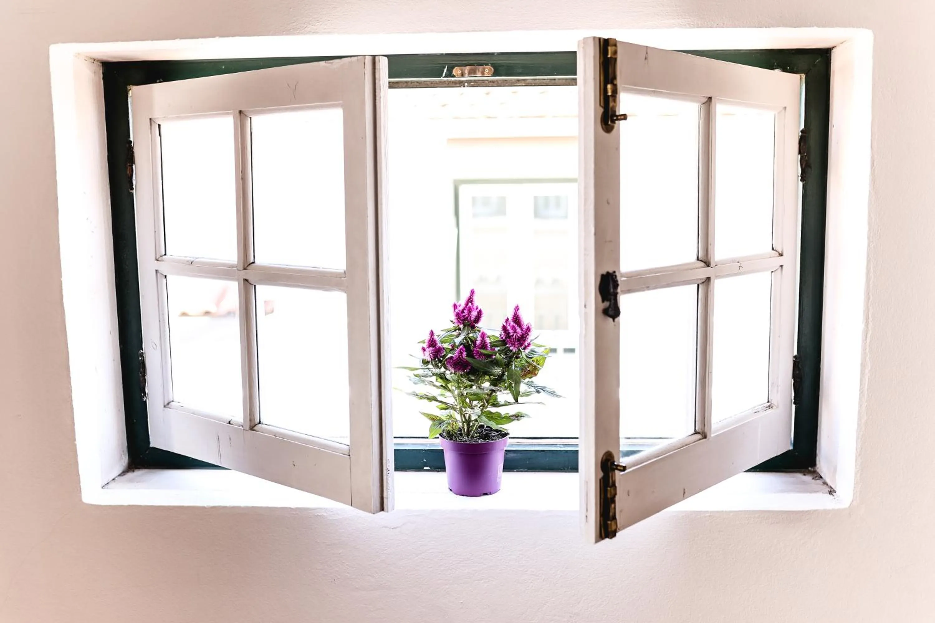 Property building in Heart of Lisbon