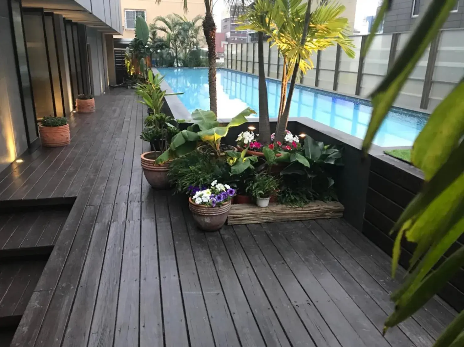 Swimming pool in The Tree House Swimming pool in The Tree House