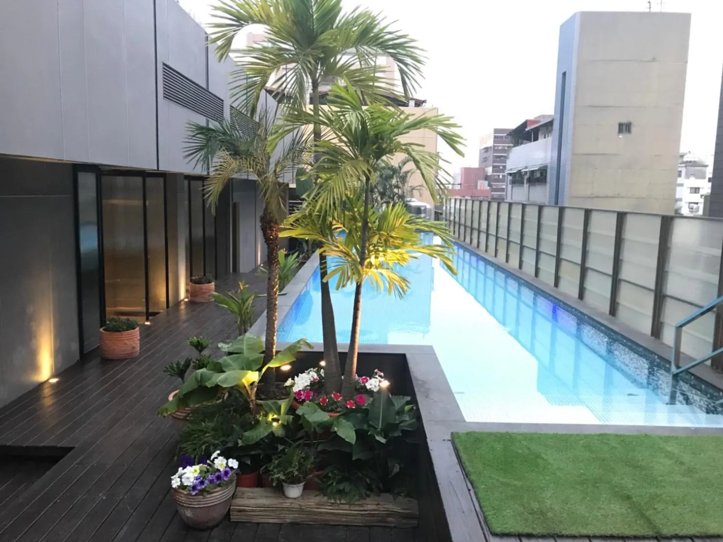 Swimming pool in The Tree House