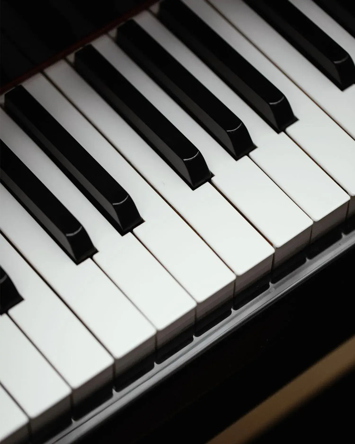 Restaurant/places to eat in Hotel Monopol Restaurant/places to eat in Hotel Monopol