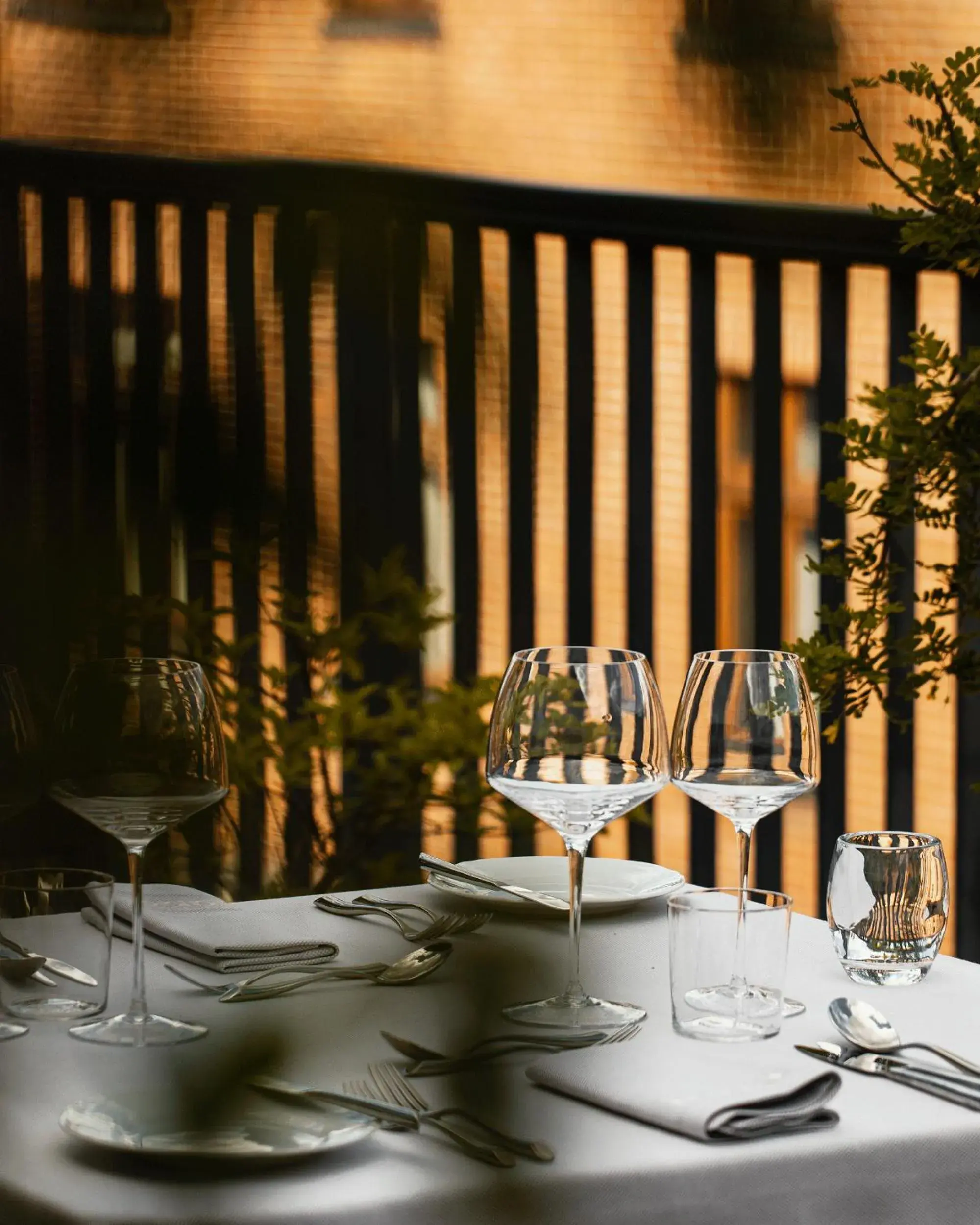 Restaurant/places to eat in Hotel Monopol Restaurant/places to eat in Hotel Monopol