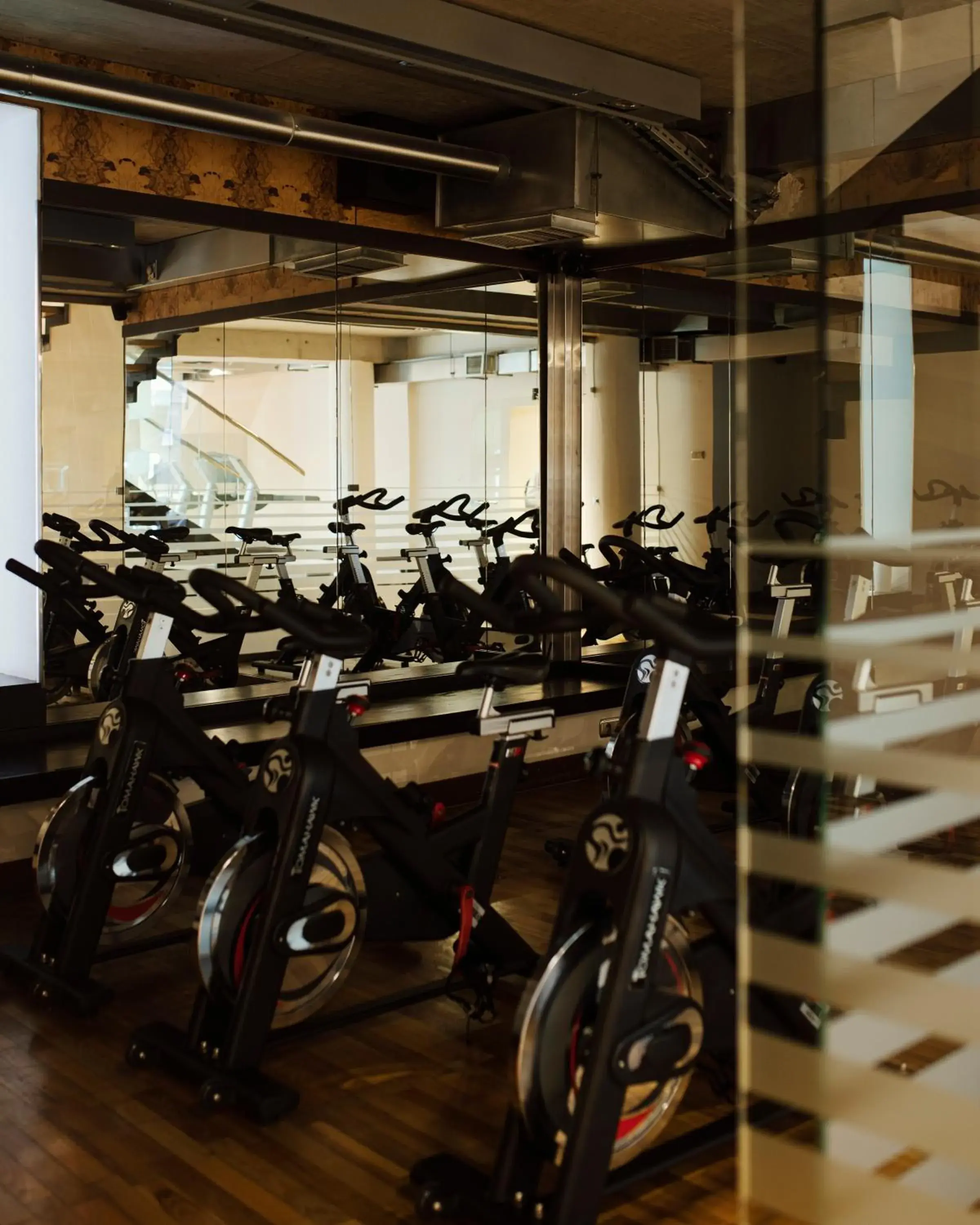 Fitness centre/facilities in Hotel Monopol Fitness centre/facilities in Hotel Monopol