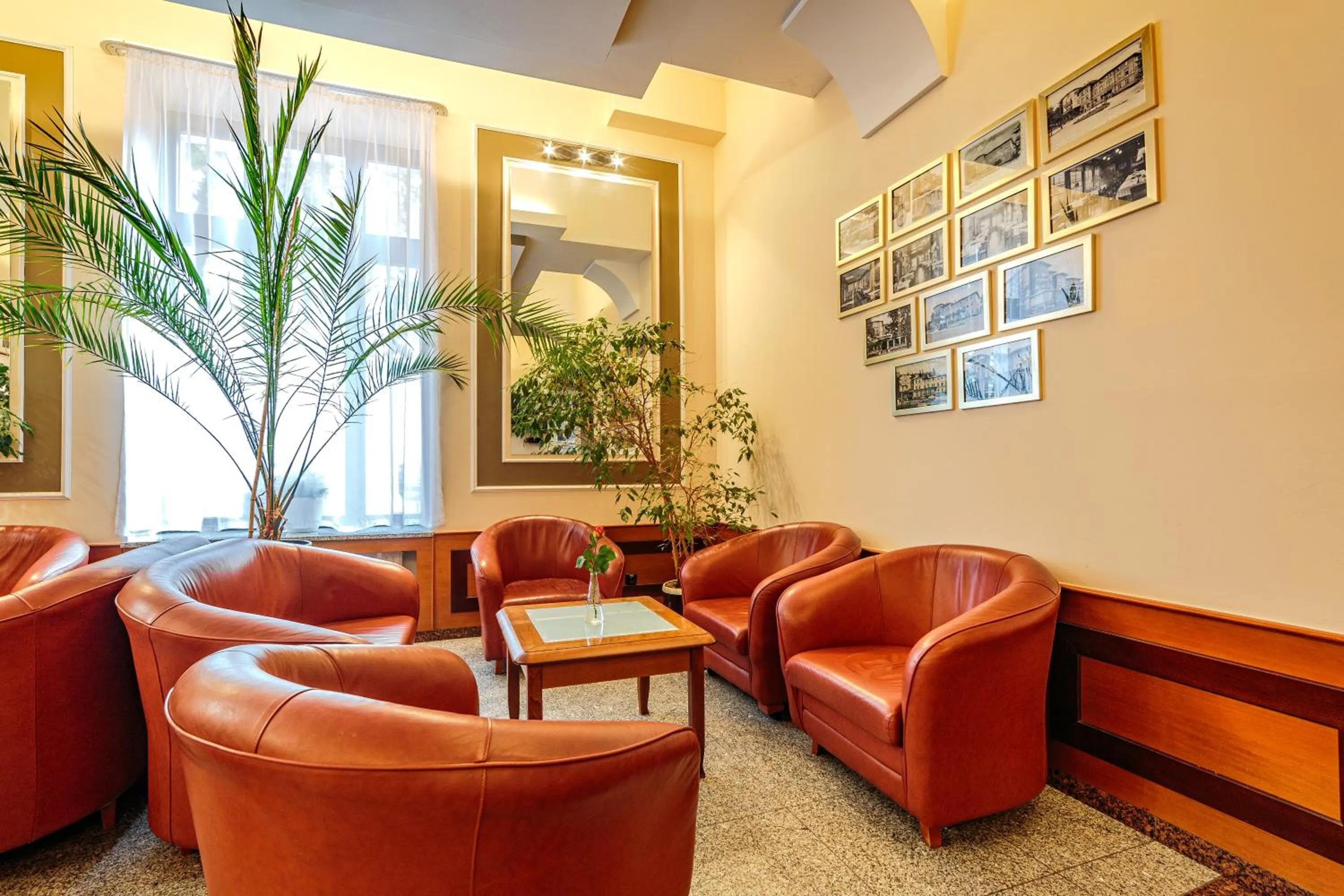 Patio in Hotel Fenix