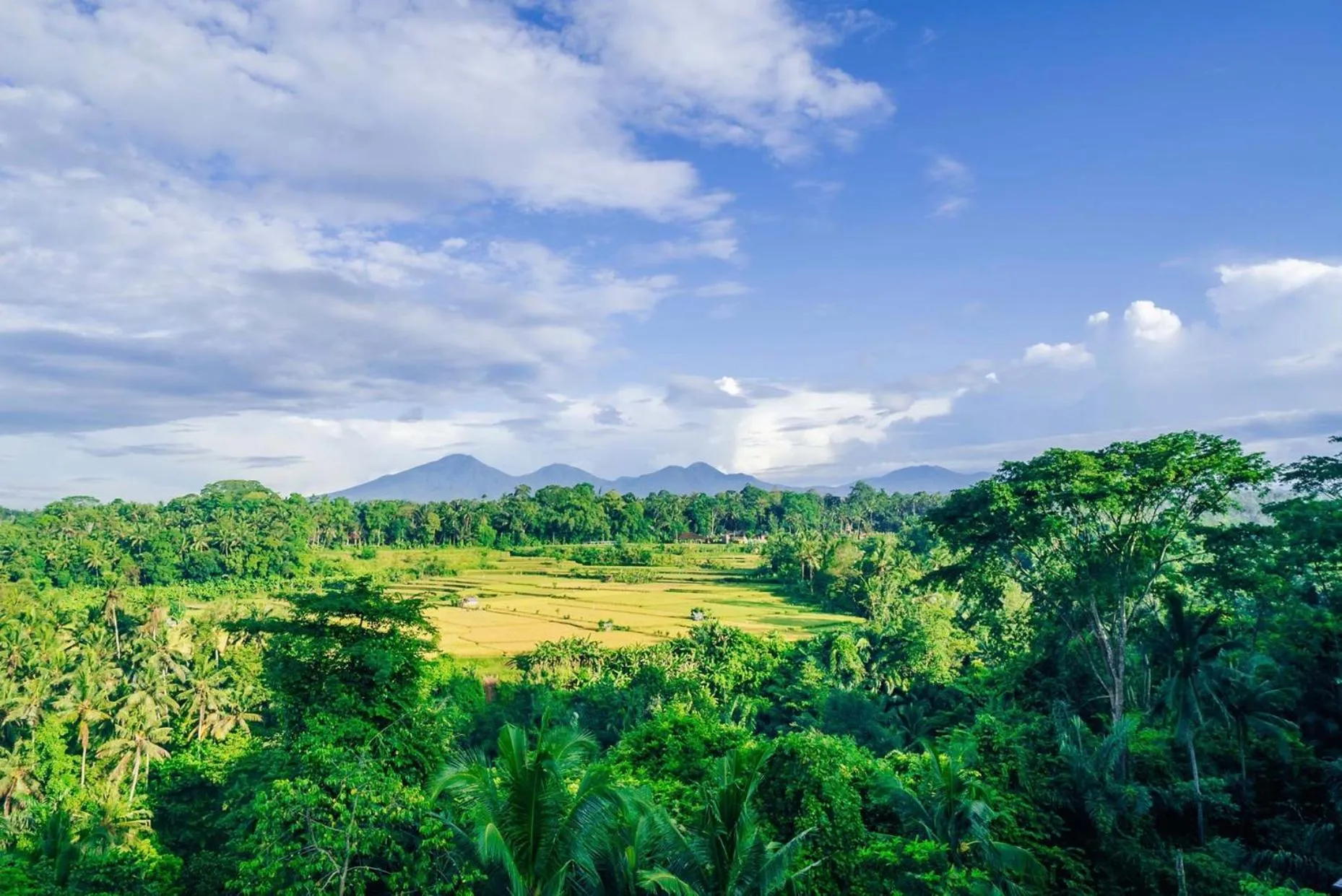 Natural landscape in Uma Kalai