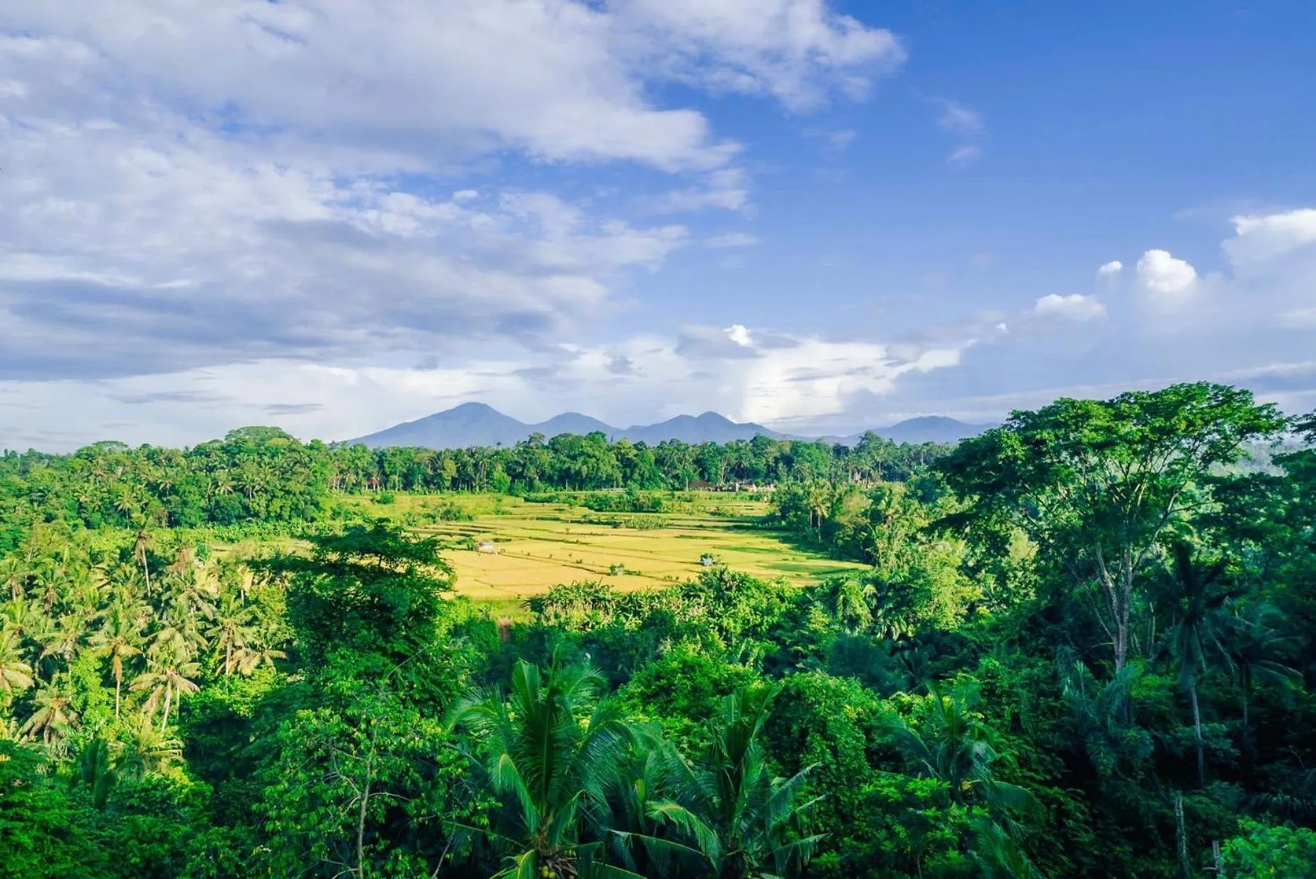 Natural landscape in Uma Kalai