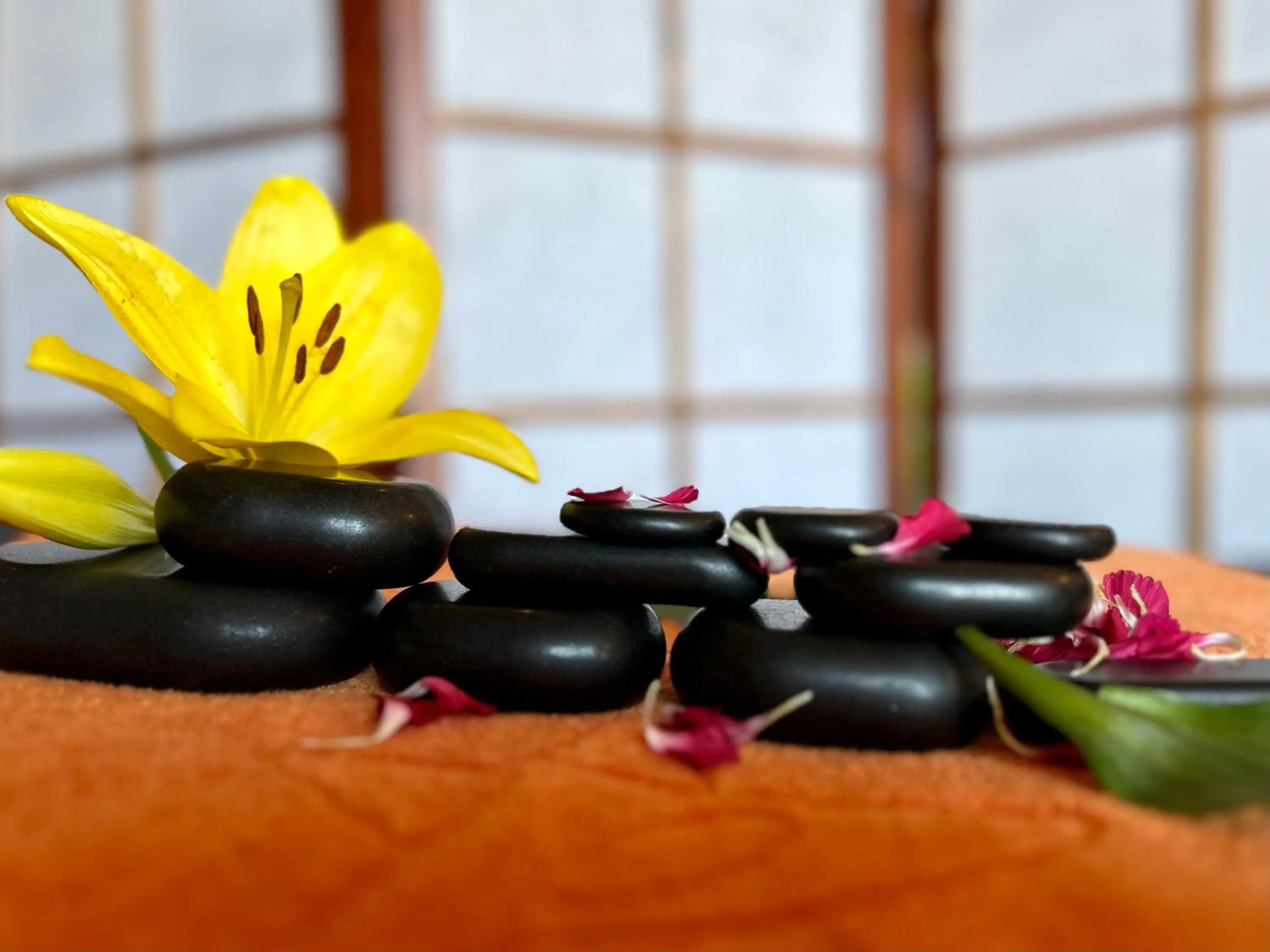 Spa and wellness centre/facilities in Hotel Polaris