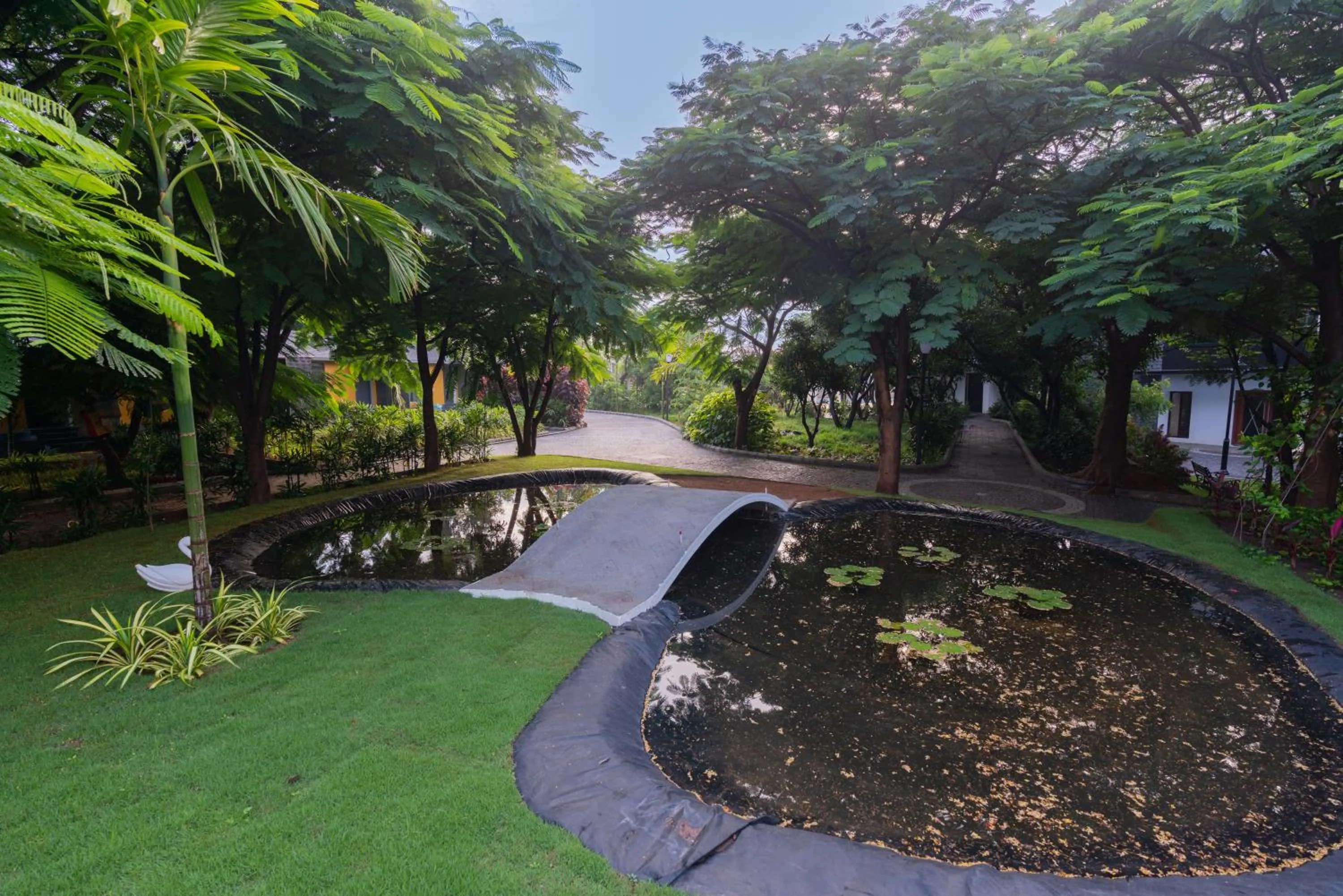 Garden in DARZA LUXURY RESORTs