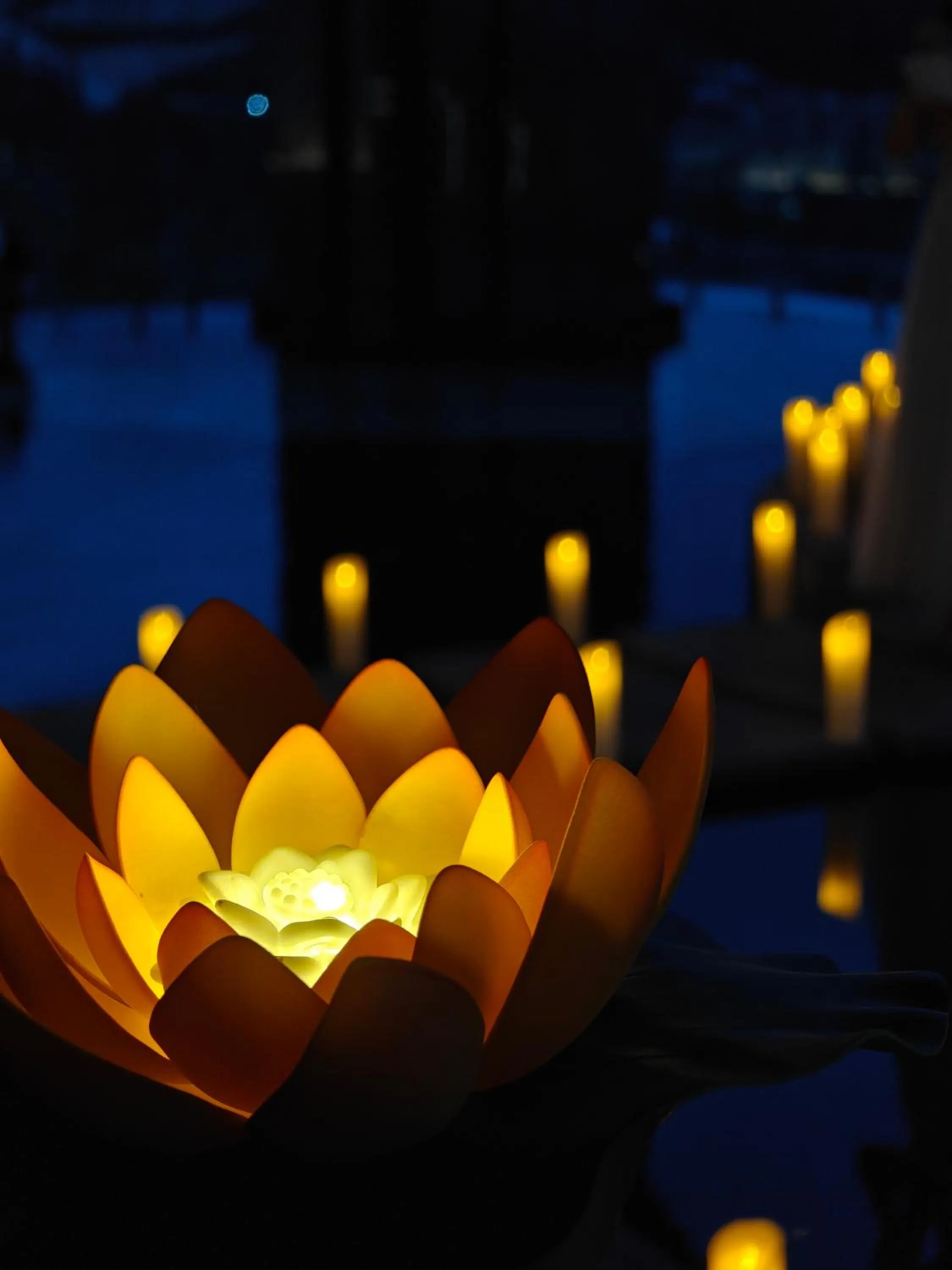 Night in Pullman Yuxi