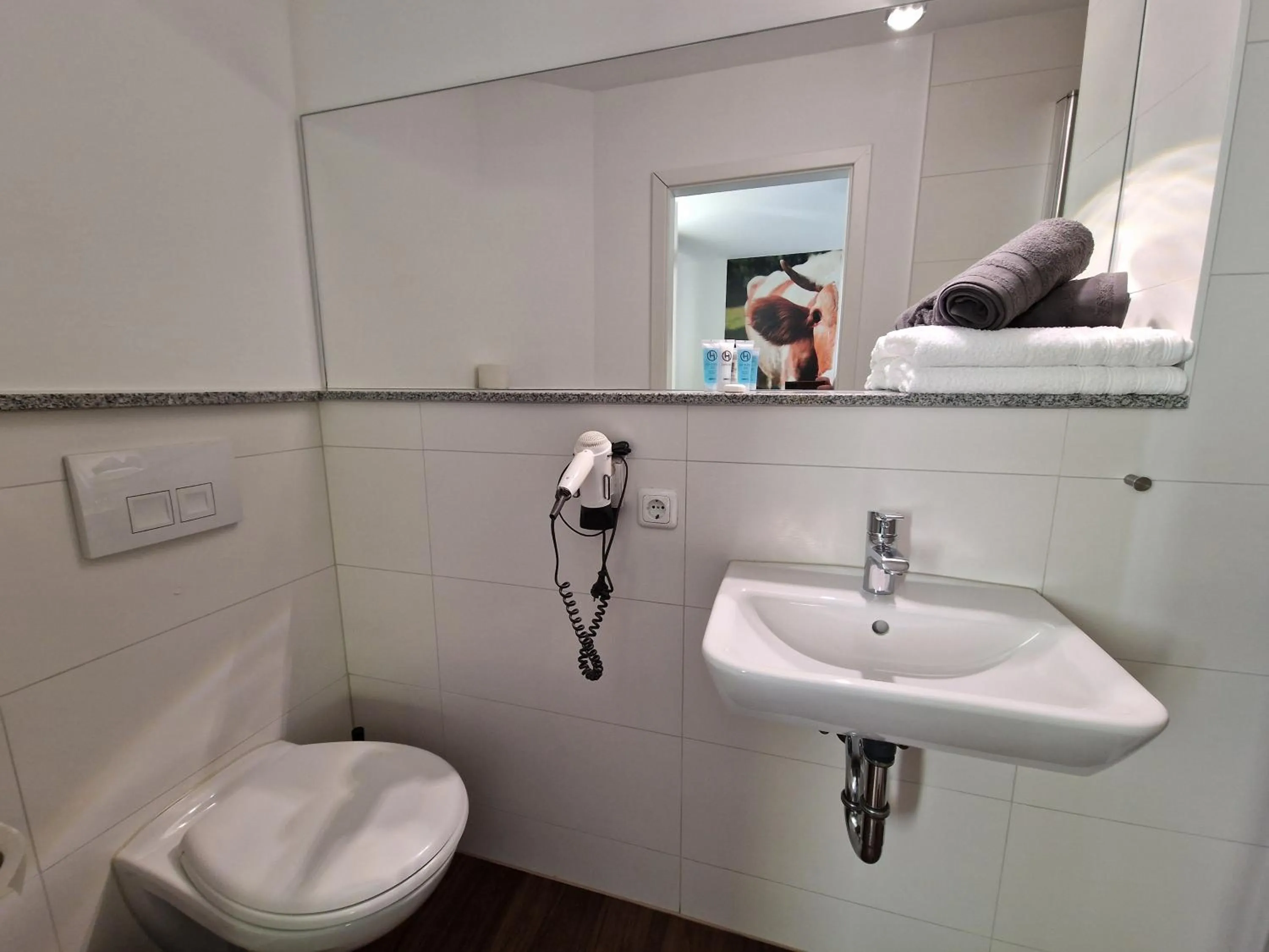 Toilet in Zur Sonne "Gasthaus-Bar-Events"