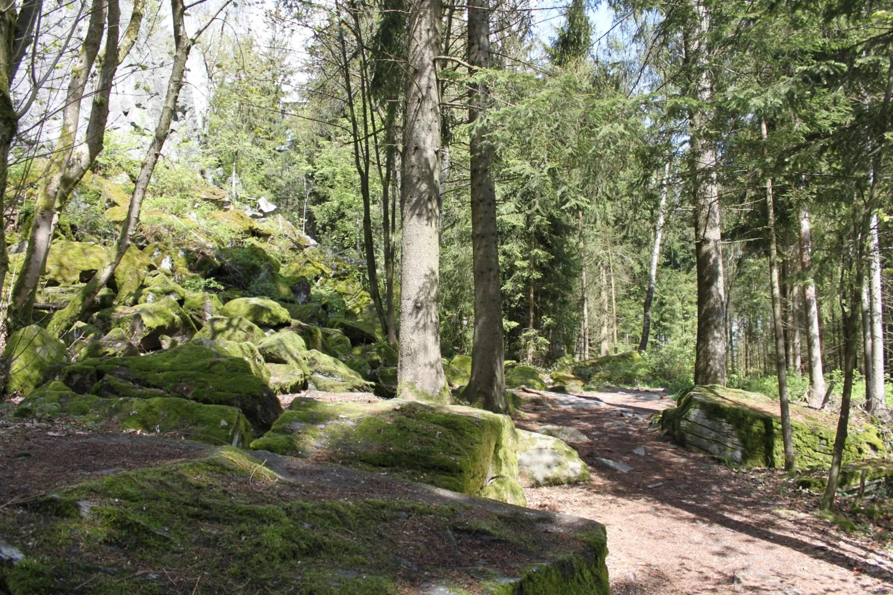 Hiking in Zur Sonne "Gasthaus-Bar-Events"
