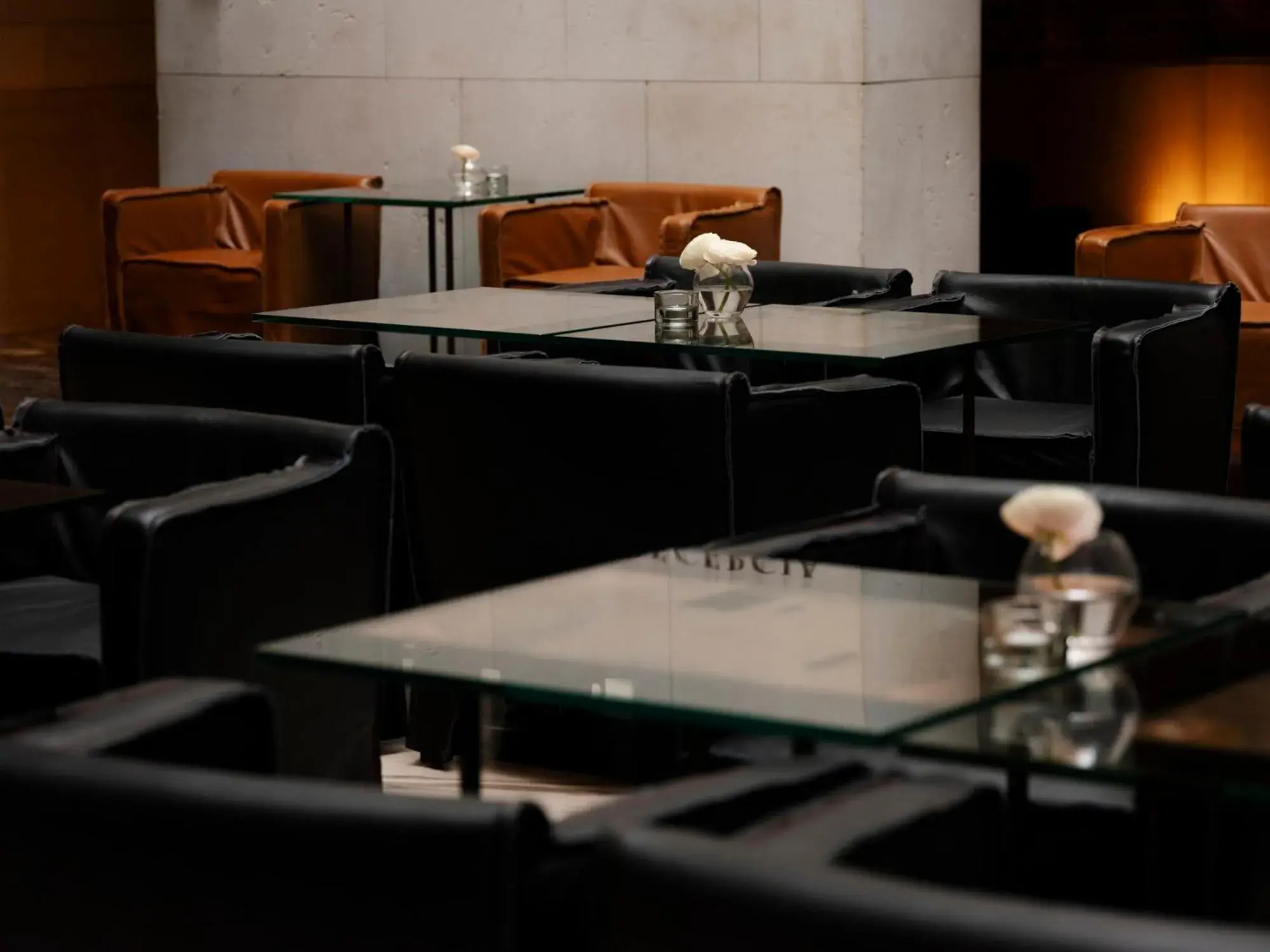 Restaurant/places to eat in Hotel Stary Restaurant/places to eat in Hotel Stary